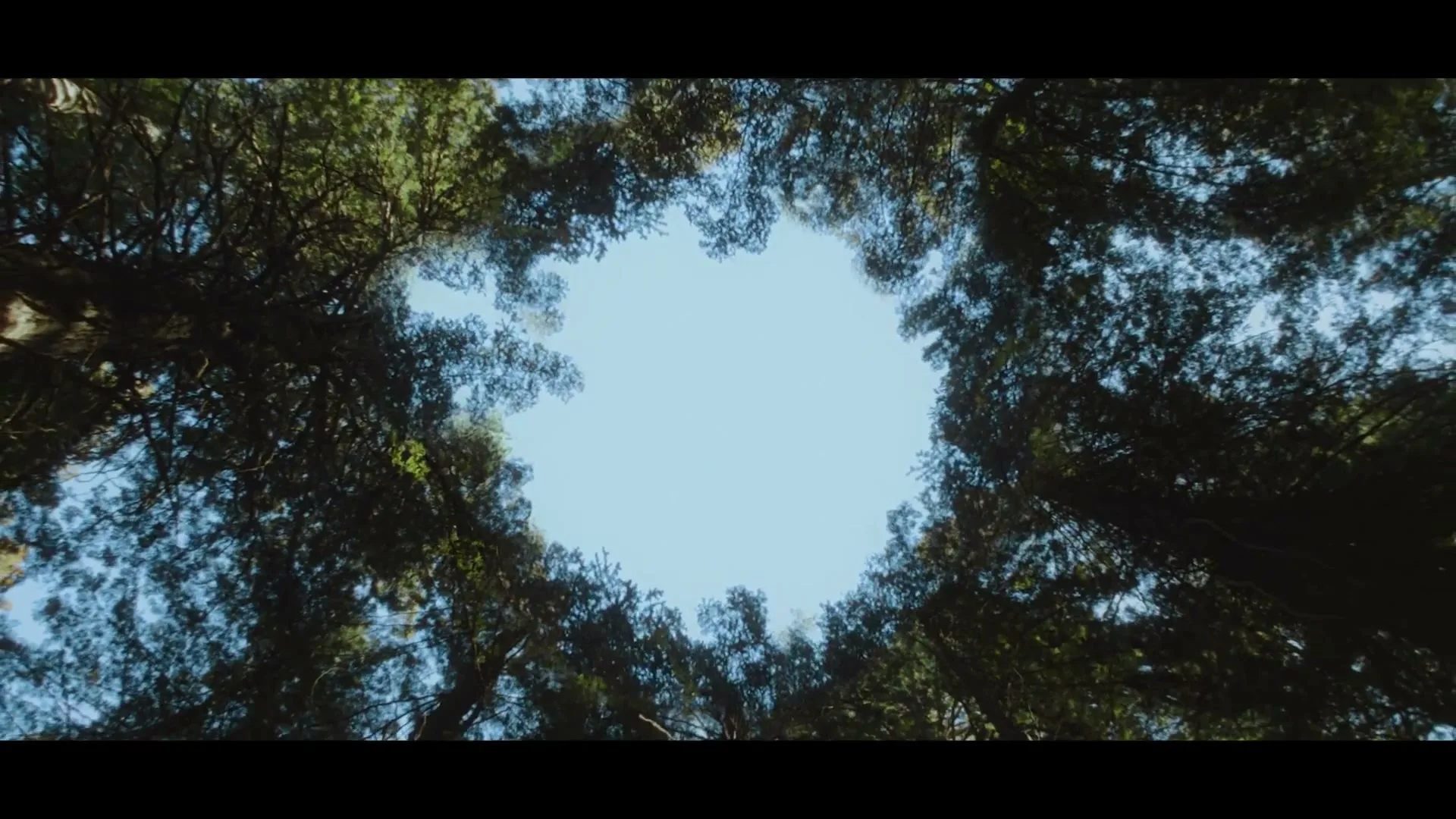GNI “Moving Ireland’s Energy”, directed by POB