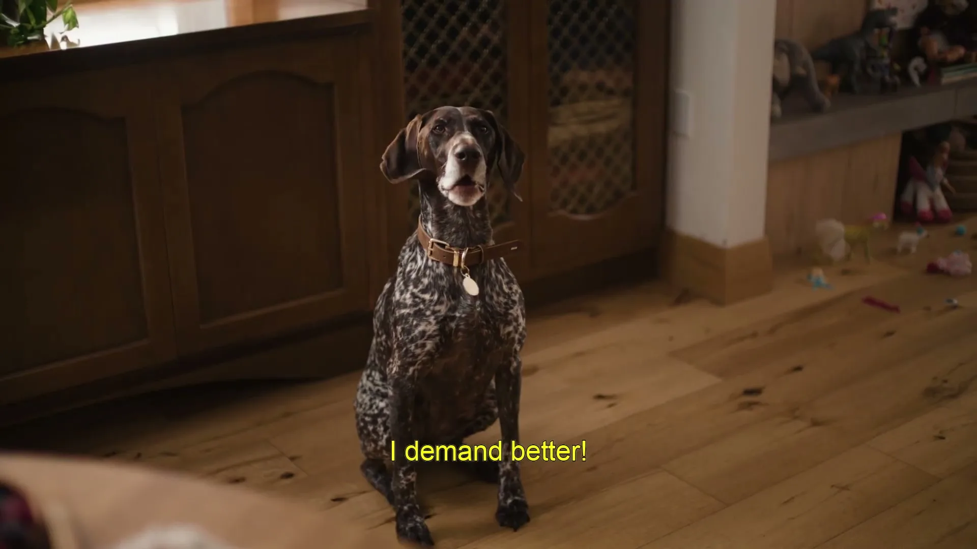 Oatmeal Crisp - General Mills "Oatmeal Crisp - Dog 30s" (2025) commercial still