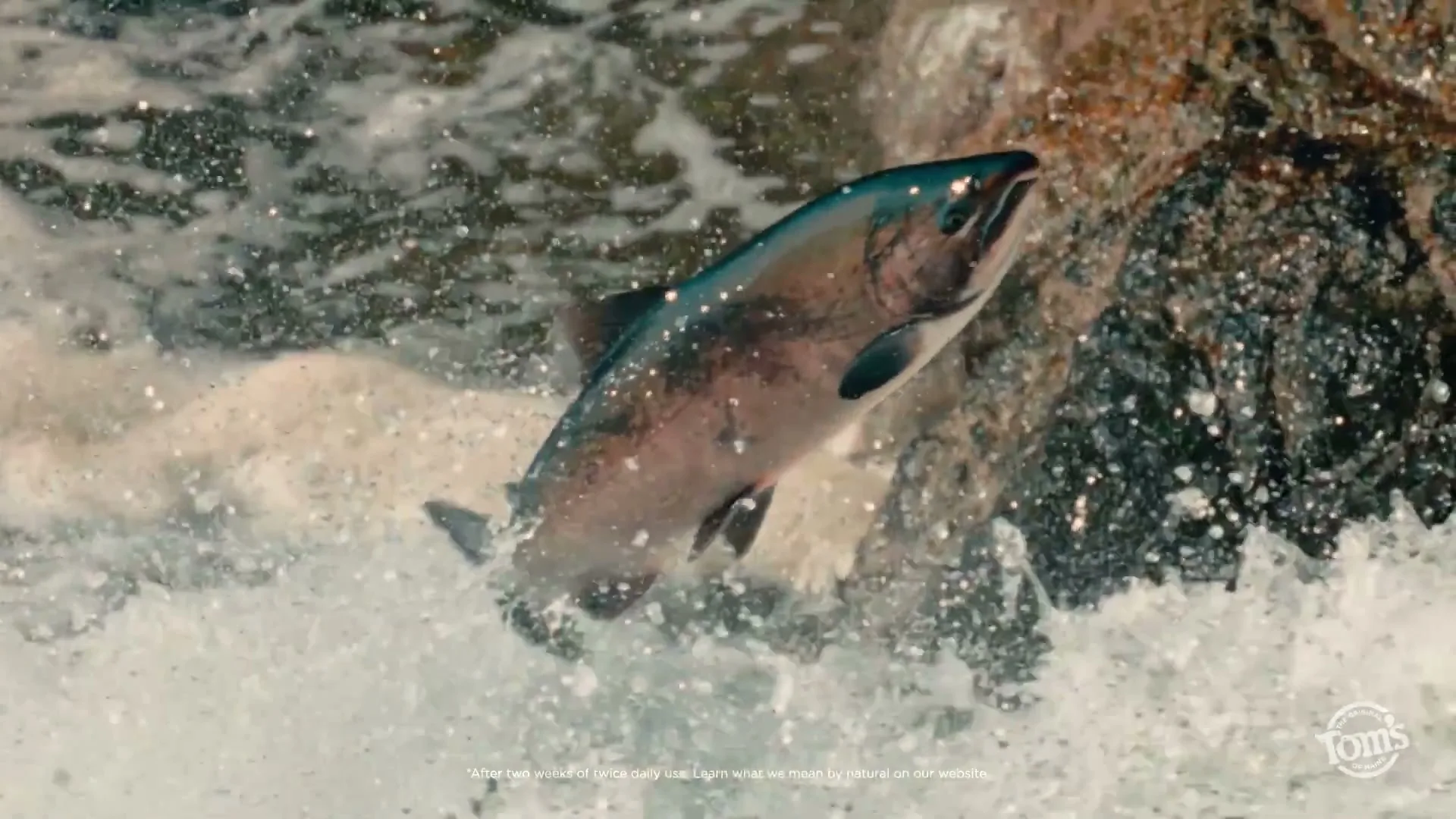 Colgate "Tom’s of Maine - Salmon" (2025) commercial still