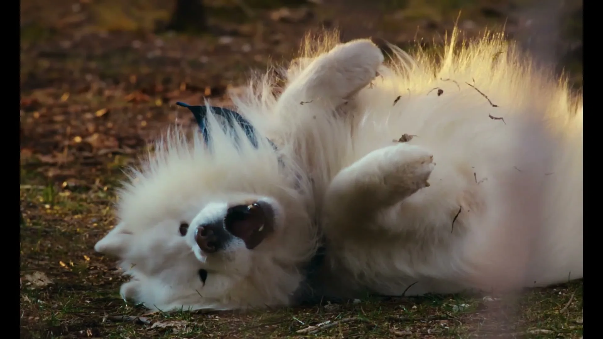 Asics "Felix Unleashed" (2025) commercial still