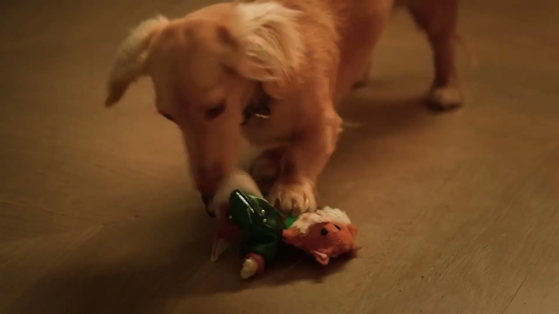 Instacart "Woof" (2025) commercial still