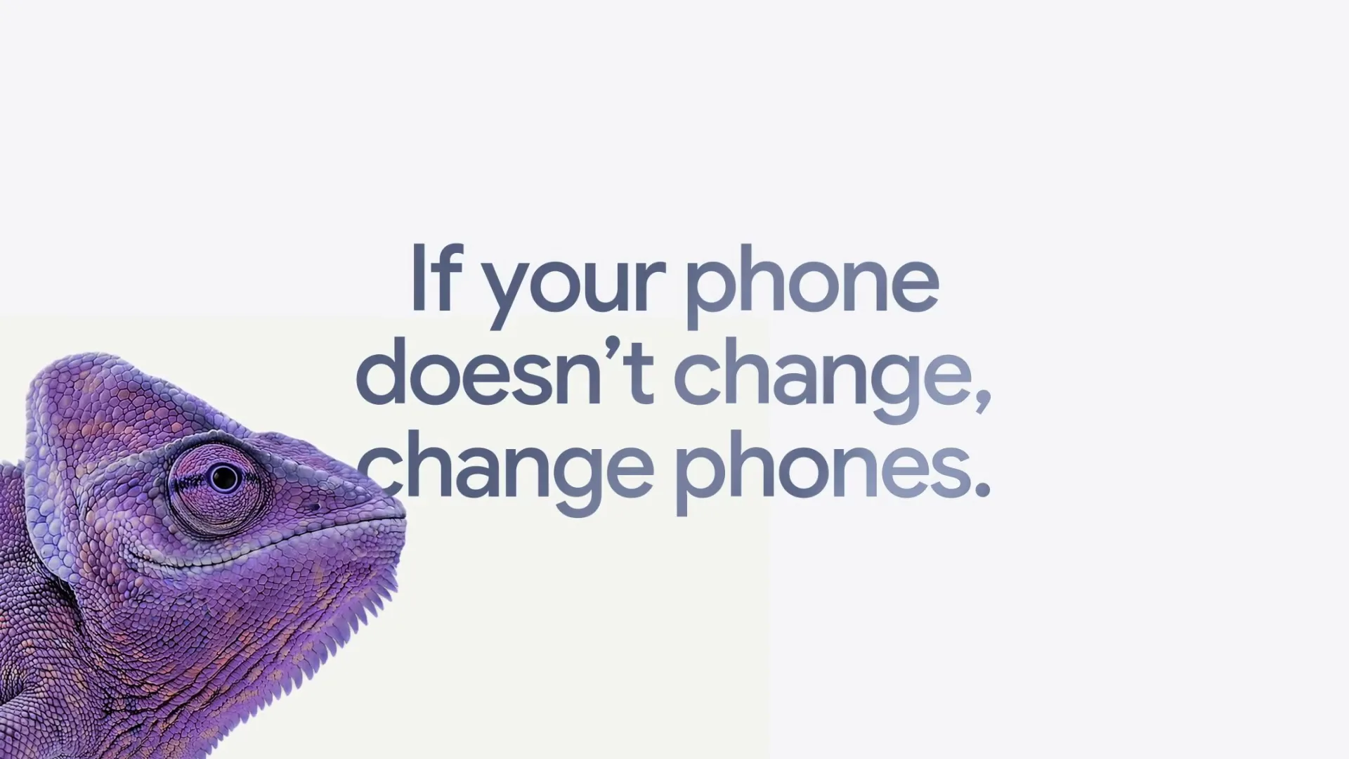 Google “x TELUS - Chameleon”