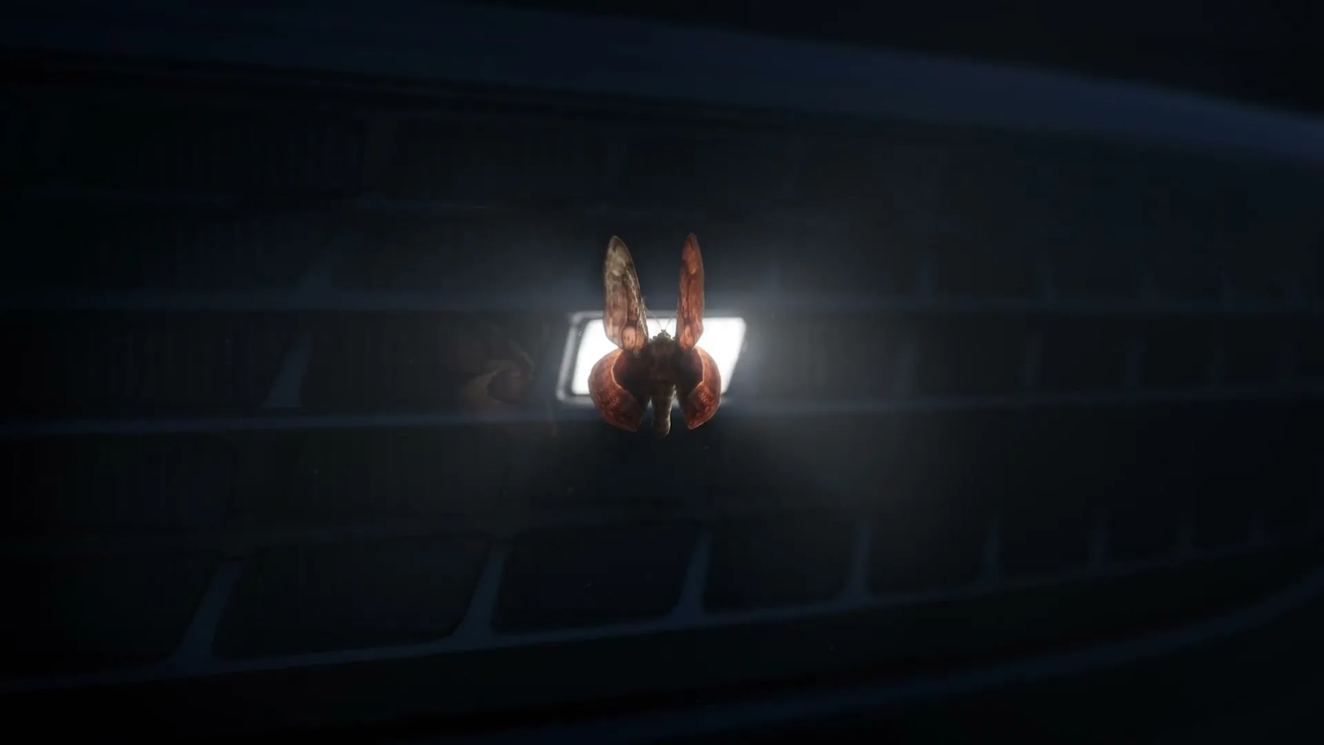 Audi “Love at First Sight” (2024)