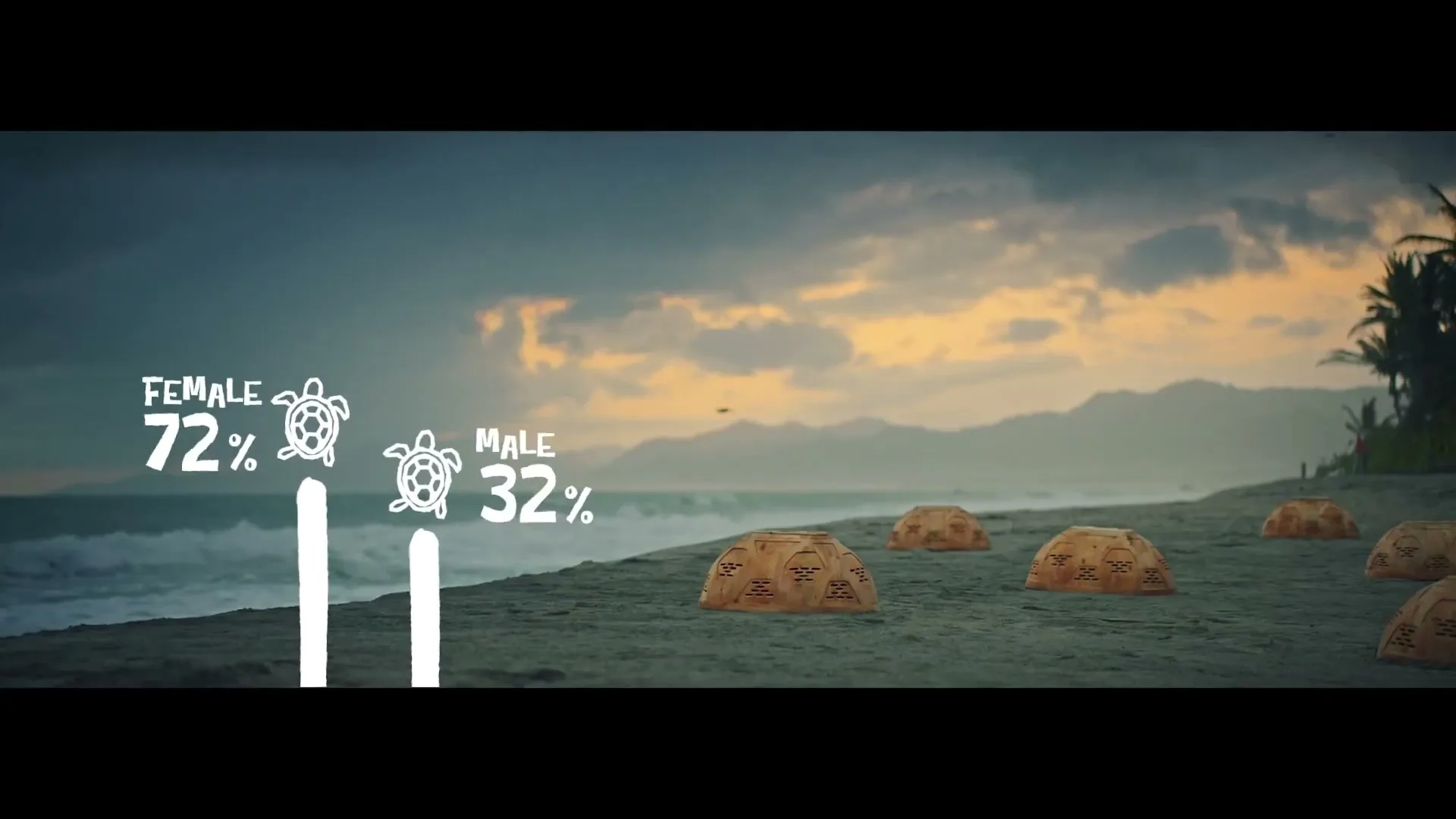 Banana Boat "Nest Domes" (2023) commercial still
