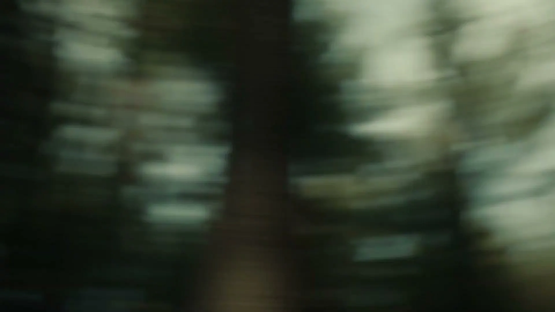 Levelwear “No Dream” (2025), frame 6