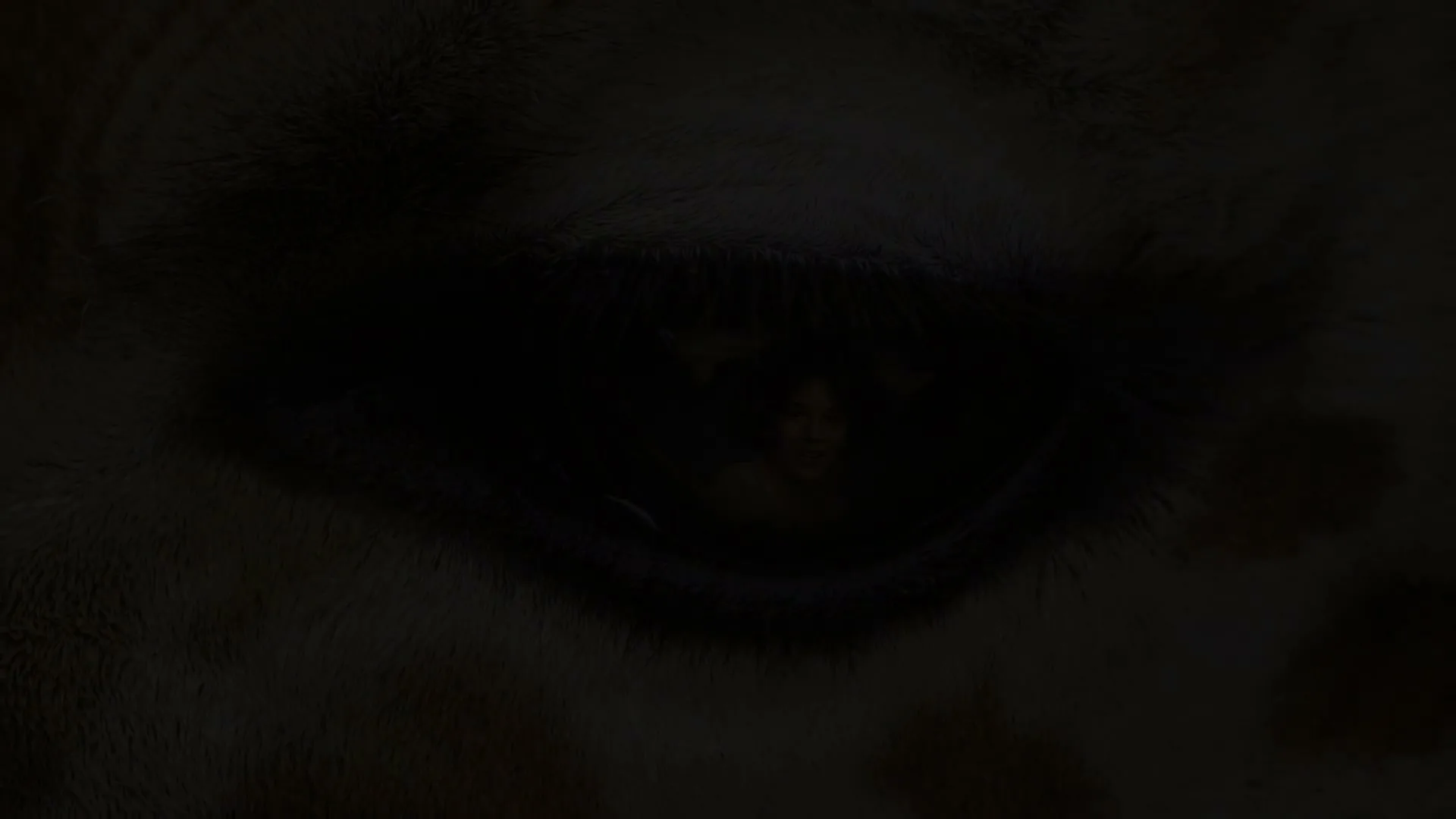 San Diego Zoo Wildlife Alliance "Eye to Ey" (2024) commercial still