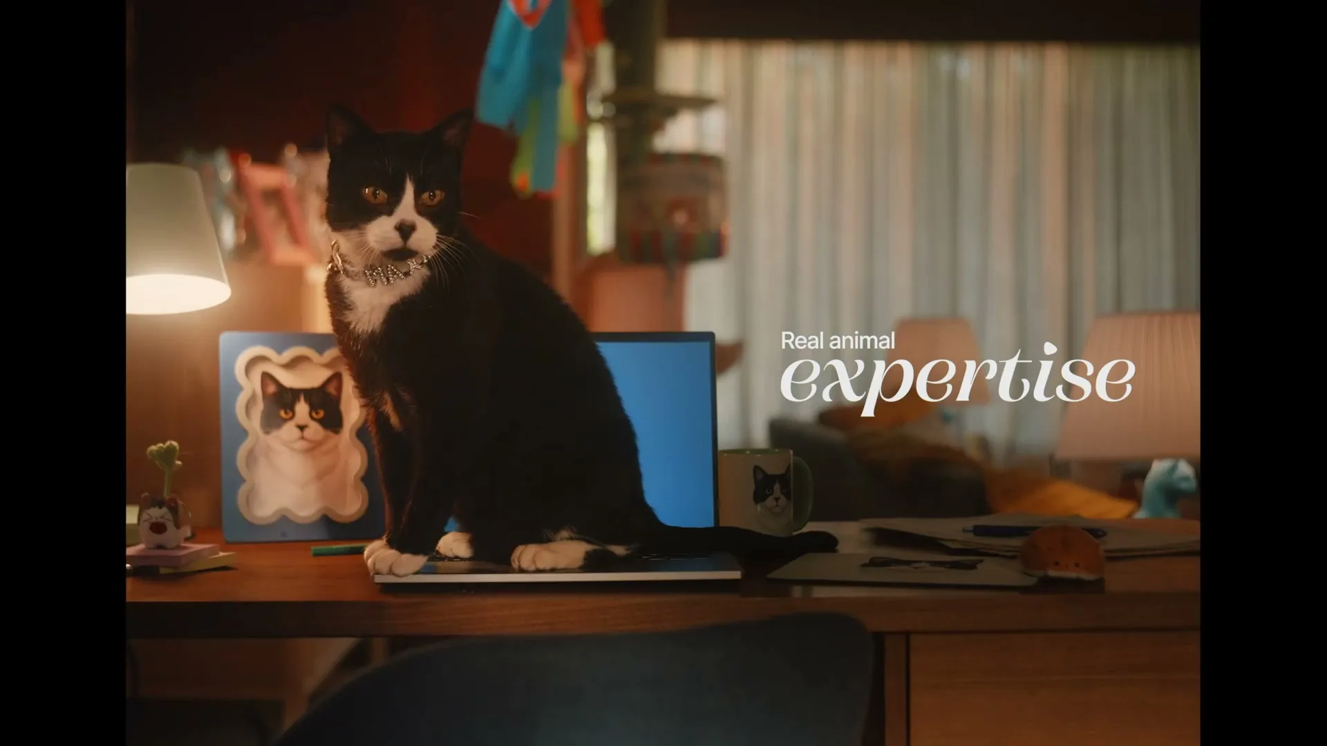 Pacific International Insurance "RSPCA Pet Insurance - We Know Animals 2" (2026) commercial still