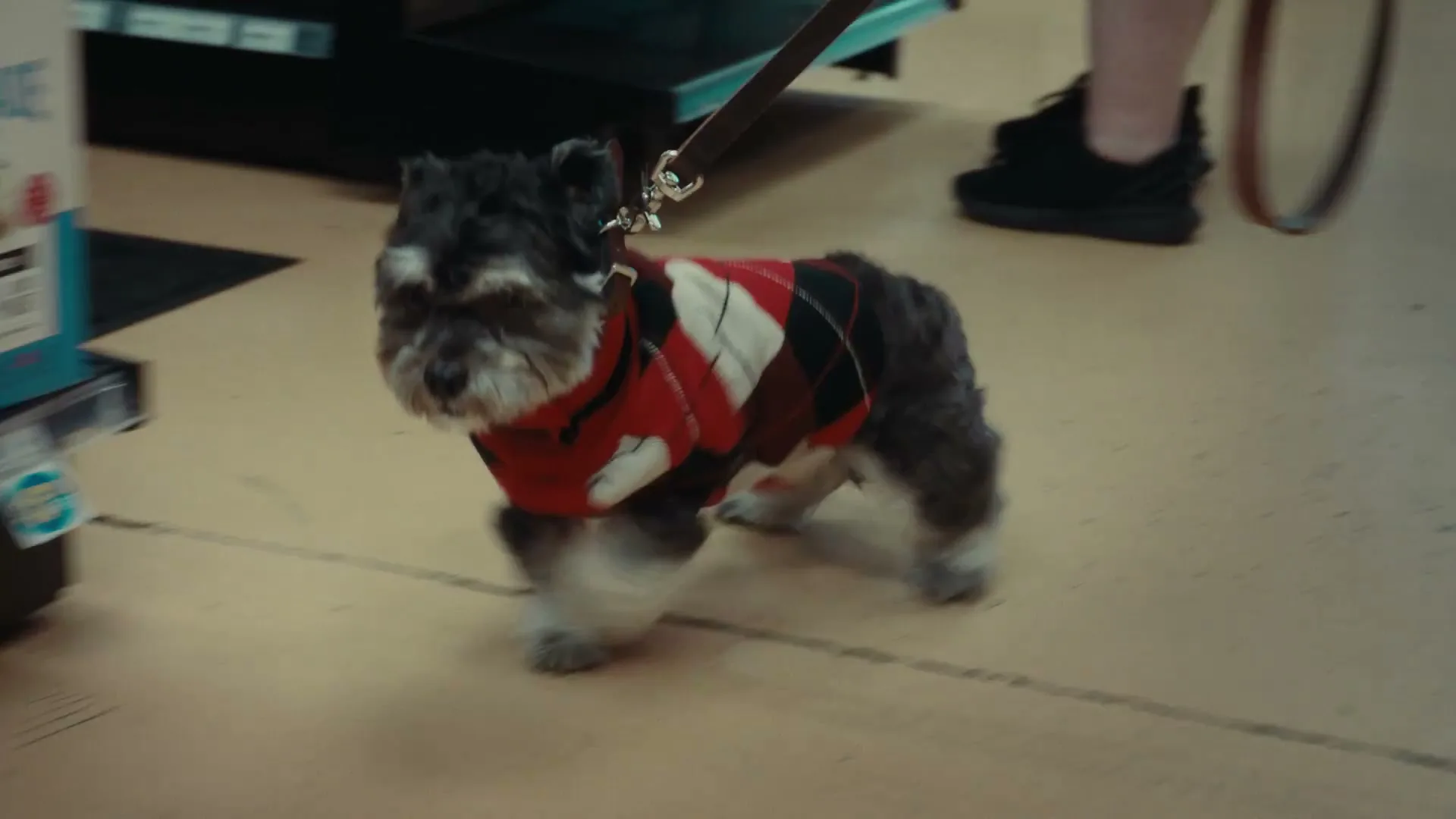 BARK “x Liquid Death - Meet Ram Chop” (2026), frame 6