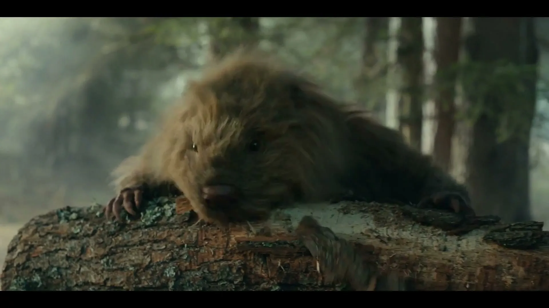 The Woodsman Whisky “Woodsman Beavers” (2023), frame 3