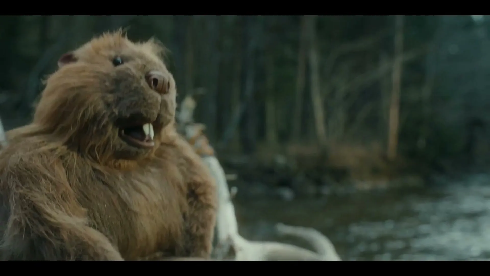 The Woodsman Whisky “Woodsman Beavers” (2023), frame 4