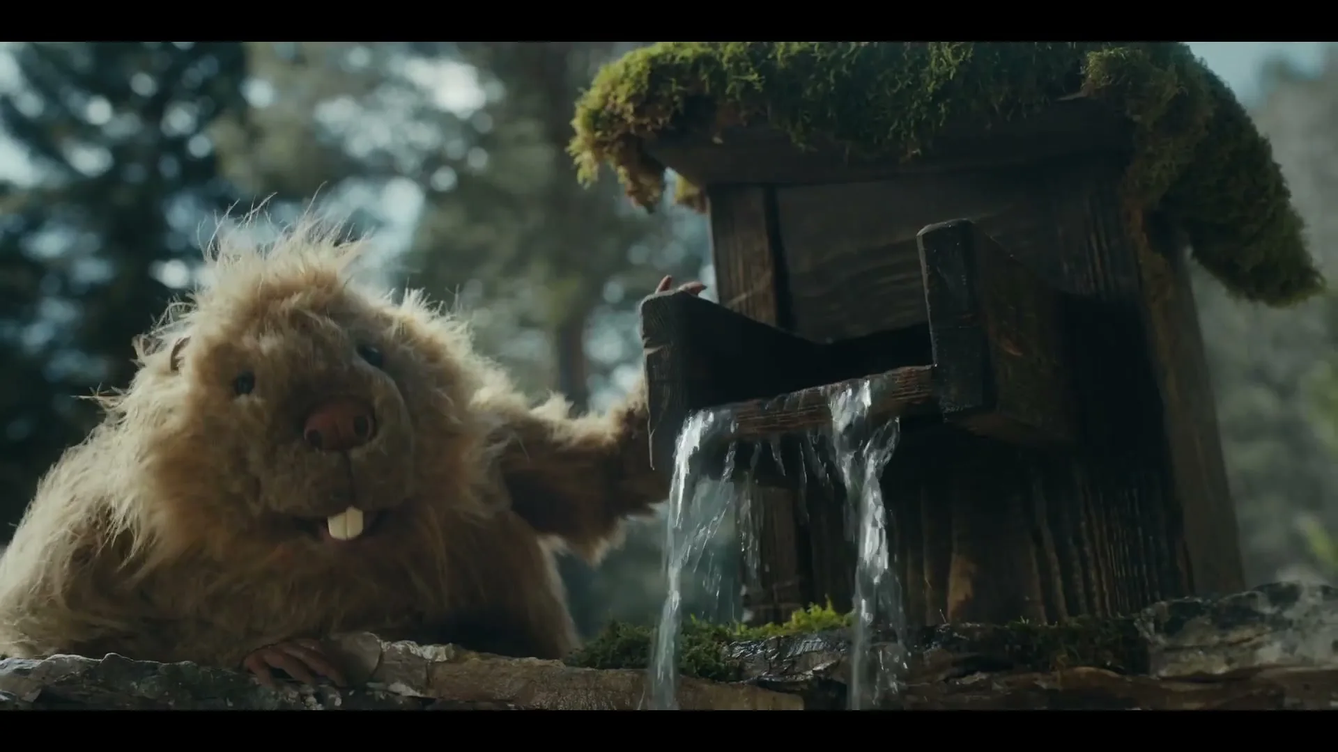 The Woodsman Whisky “Woodsman Beavers” (2023), frame 5