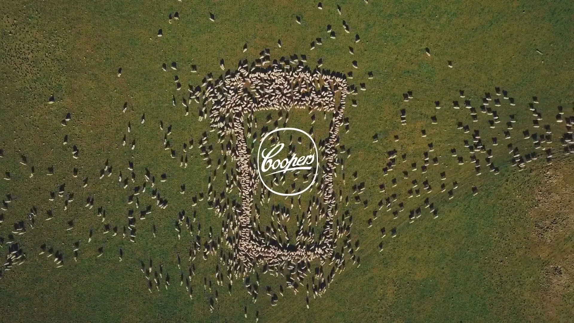 Coopers “Brewery - 'Forever Original” (2025)