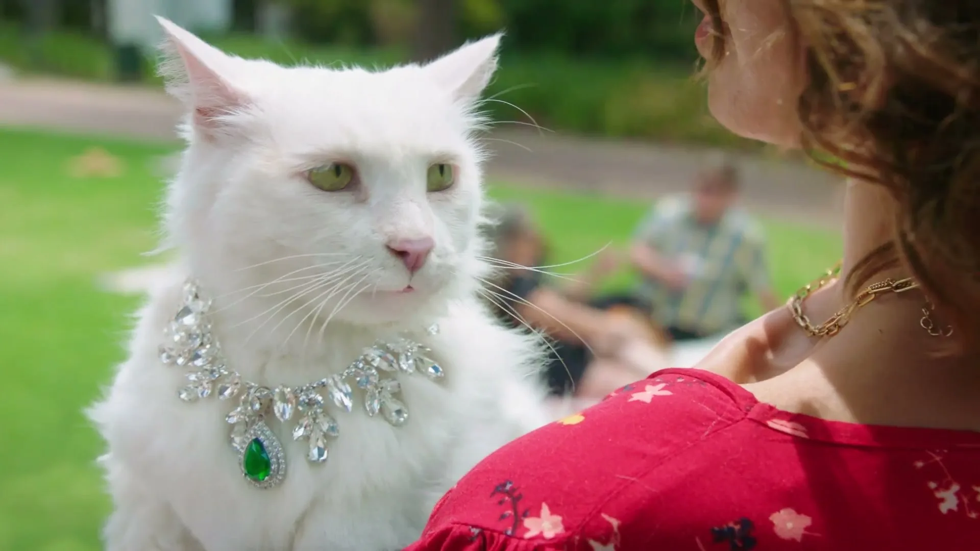 ATG "Harry Boy" (2025) commercial still