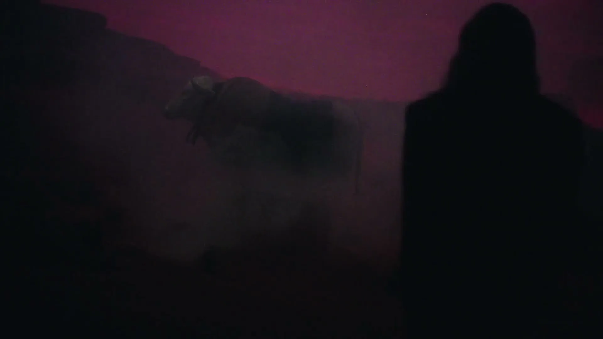 Johnnie Walker “High Rye - A Step Into A Taste Unknown”, directed by Camila Cornelsen