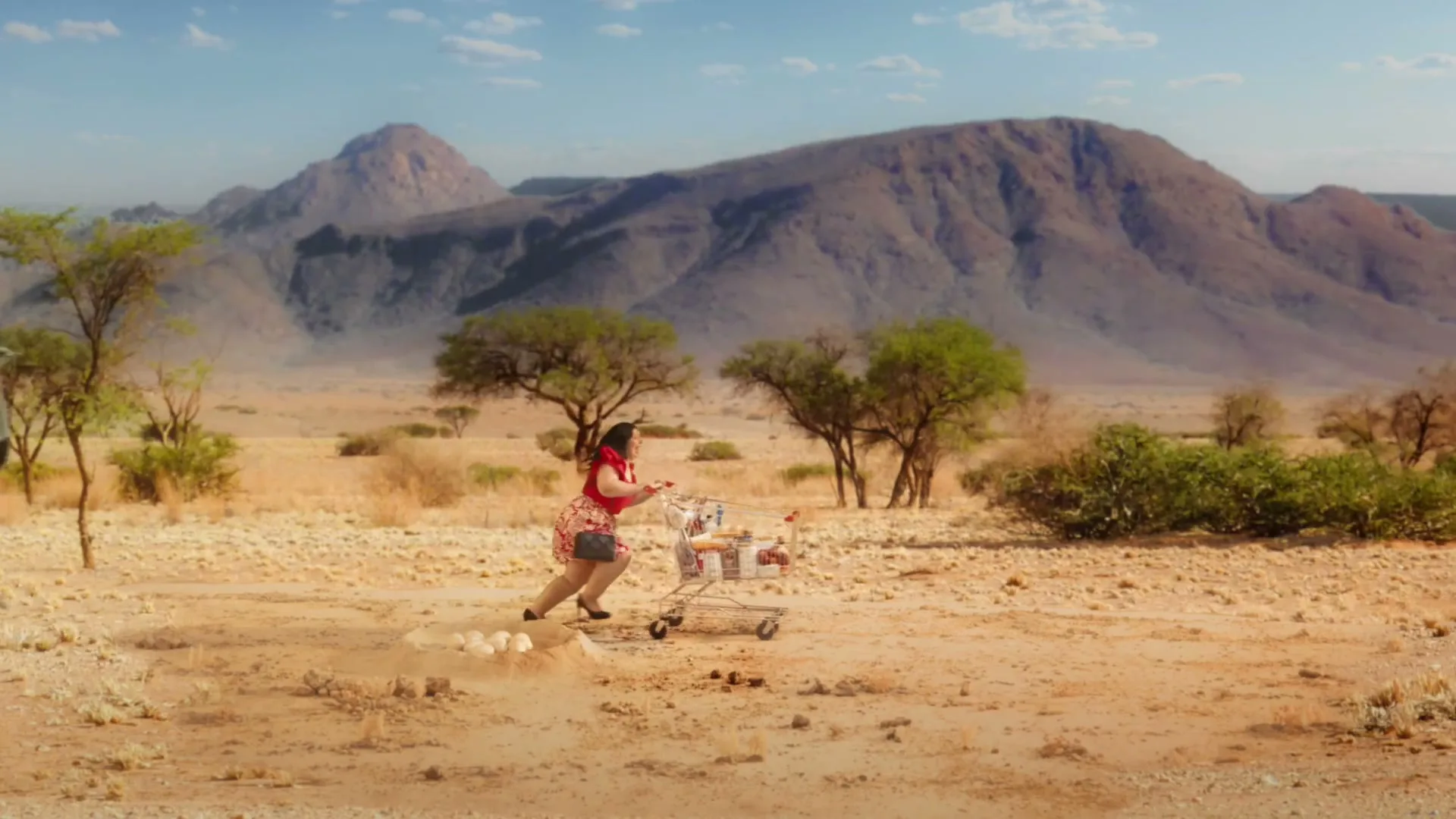 Pete & Gerry’s "Ostrich" (2023) commercial still