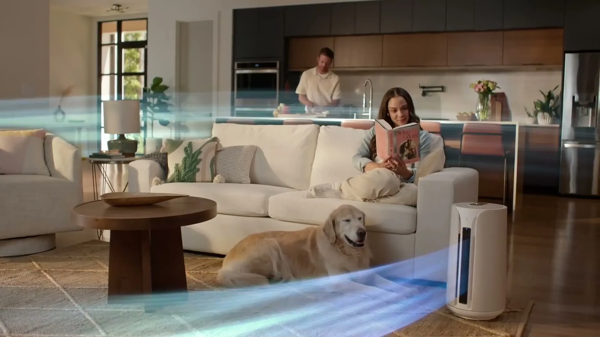 Blueair “The Most Powerful 3-in-1 Air Purifier” (2024)