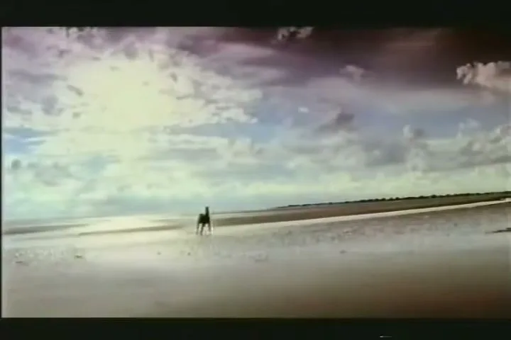 Weetabix “Black Beauty” (2001)