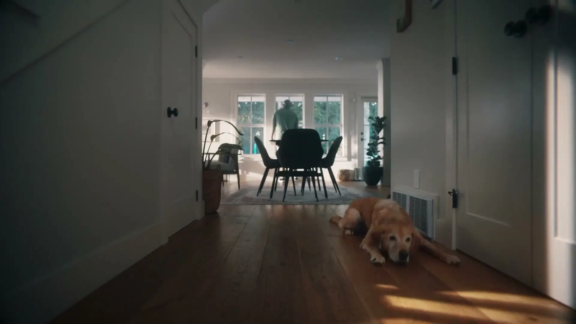 Canadian Tire “Spring Again”, directed by Scott Cudmore