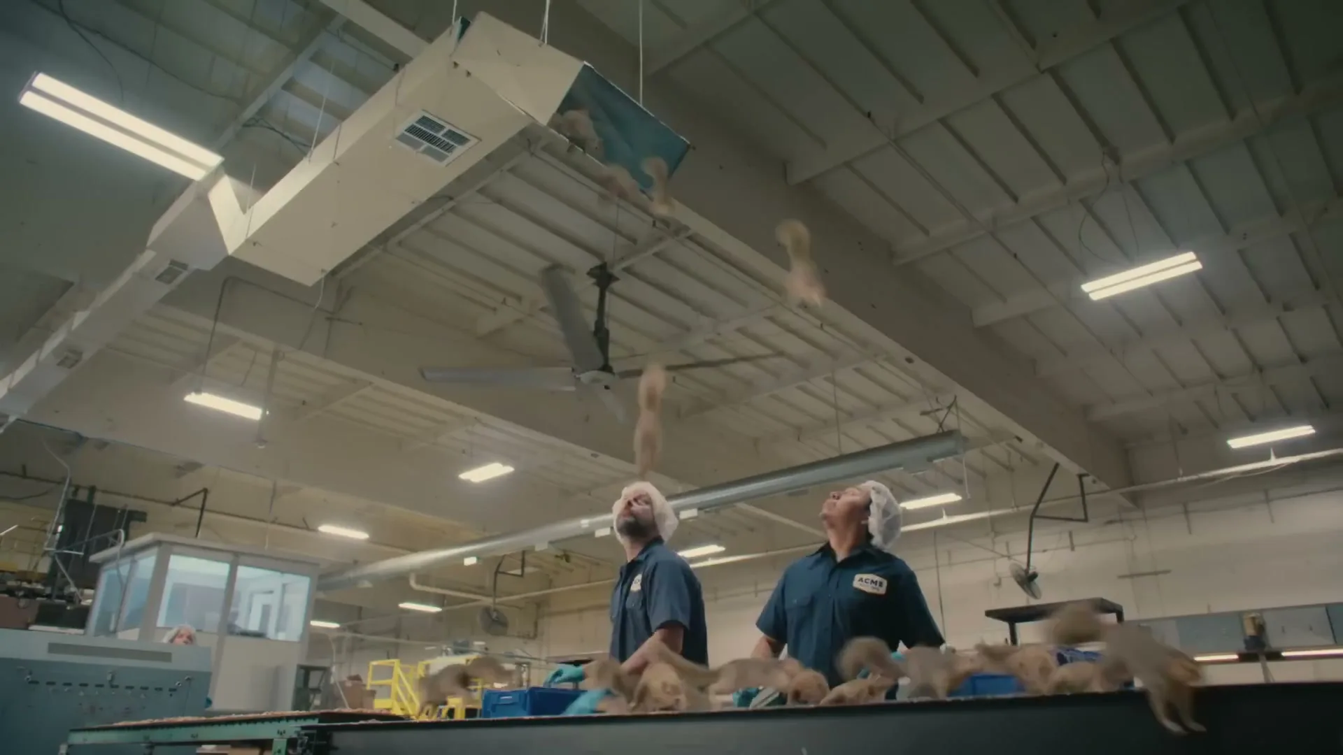 NJM Insurance “Nuts”, directed by Good Behavior