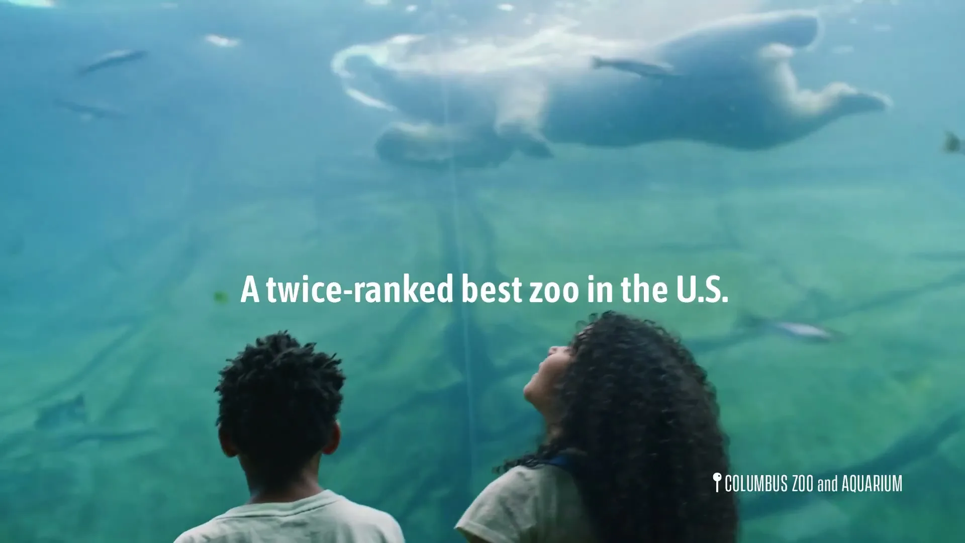 Experience Columbus "Columbus - Best U.S. Zoo" (2024) commercial still