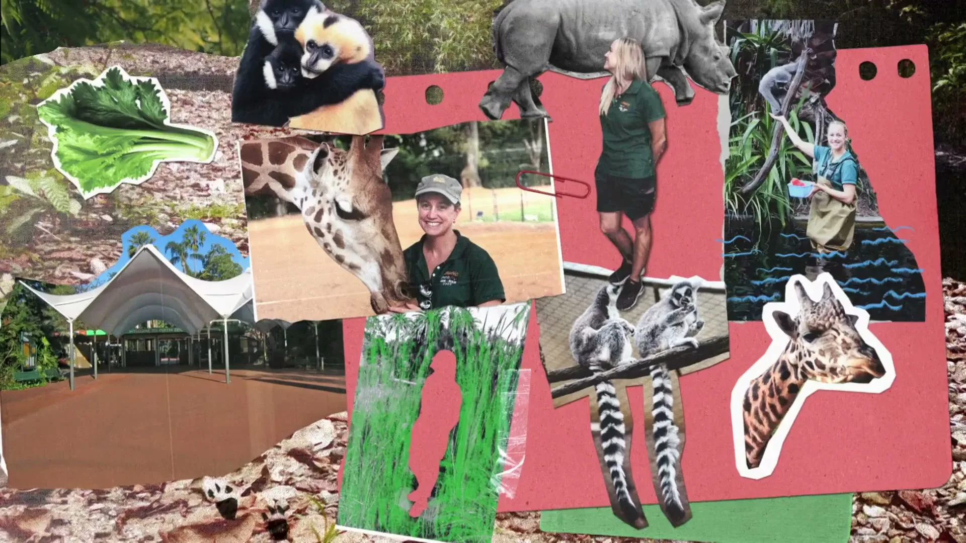 Murdoch University “Biologist” (2026), frame 3
