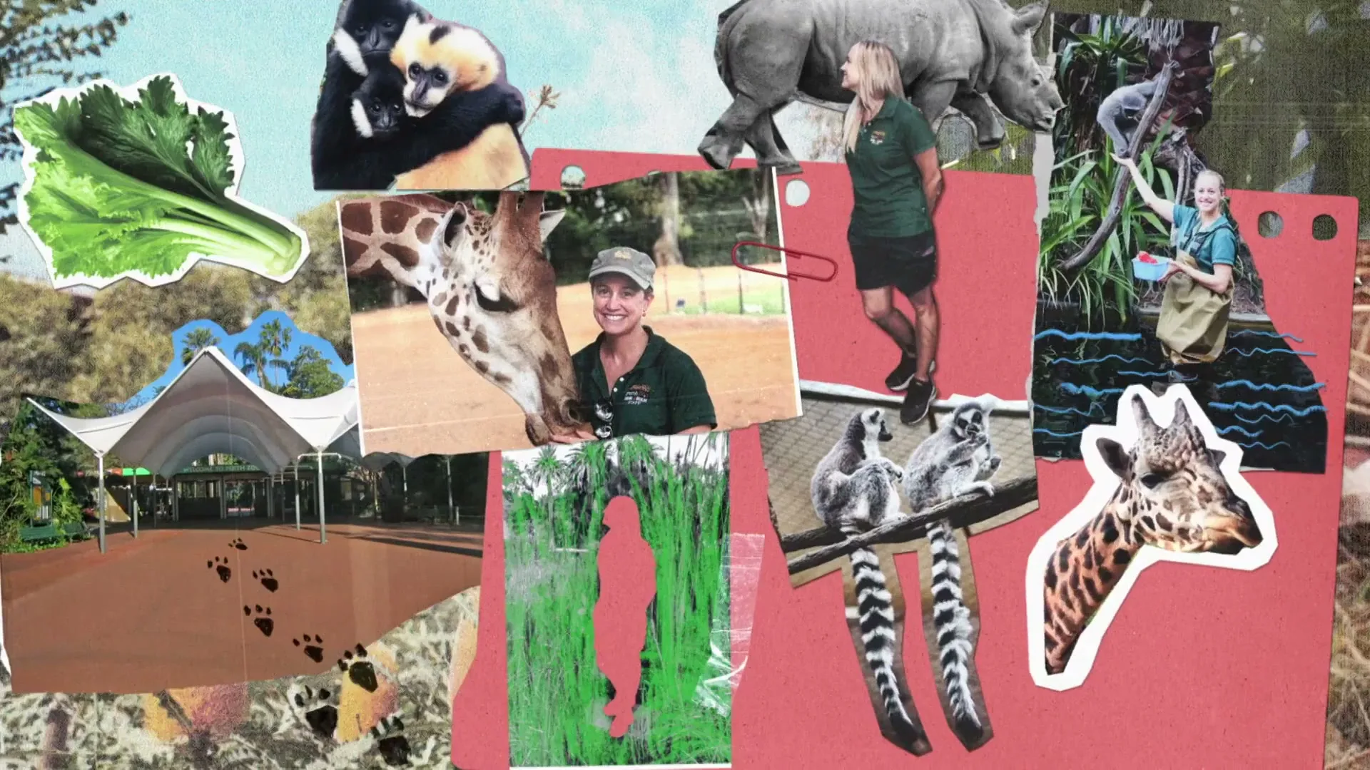 Murdoch University “Biologist” (2026), frame 4