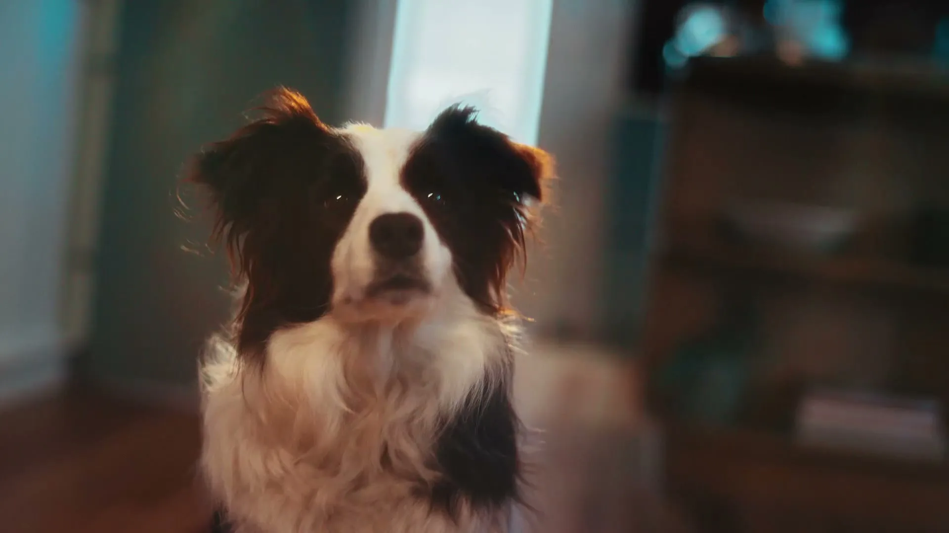 Genesis “Good Boy” (2026), frame 4