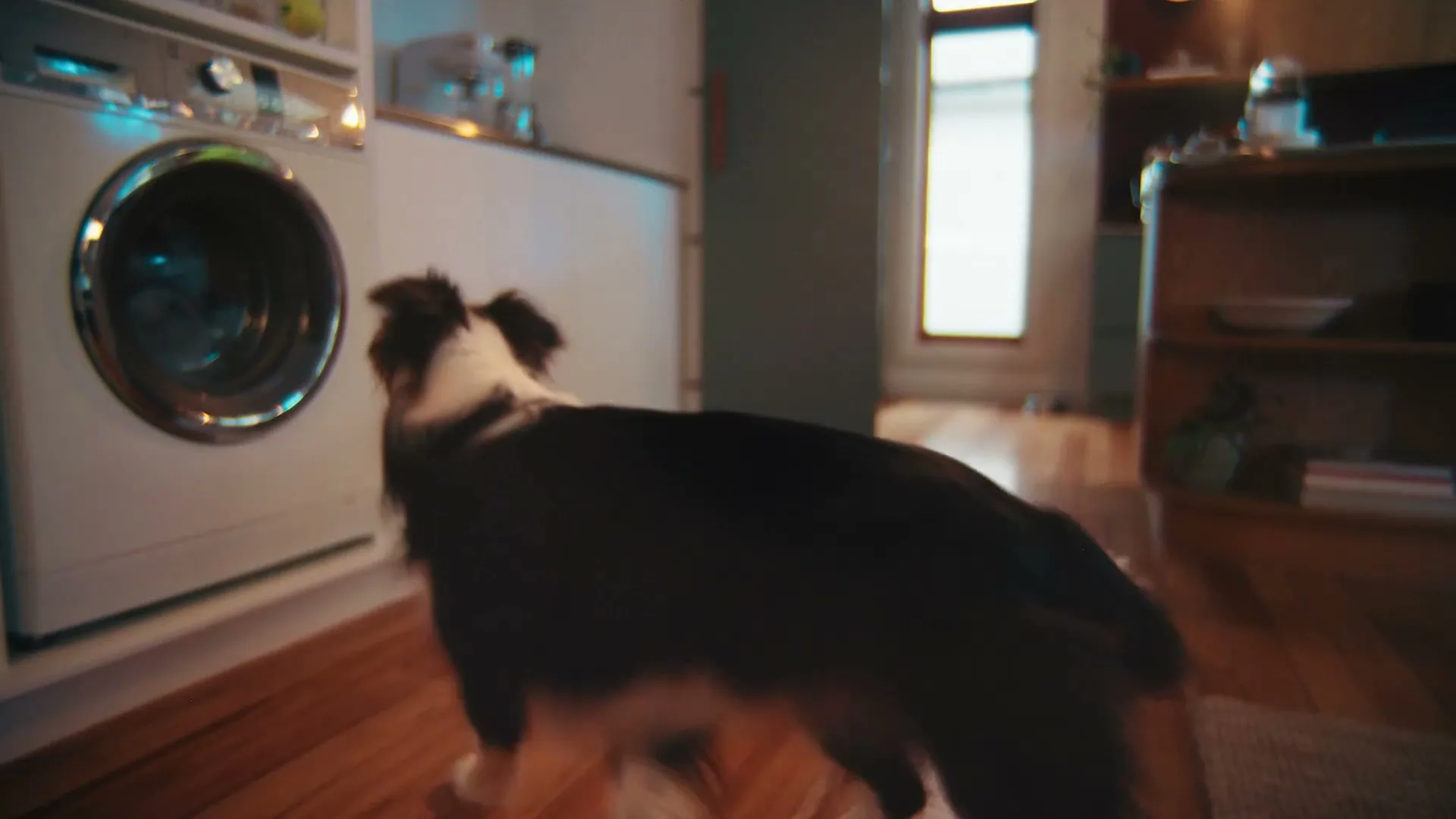 Genesis “Good Boy” (2026), frame 5