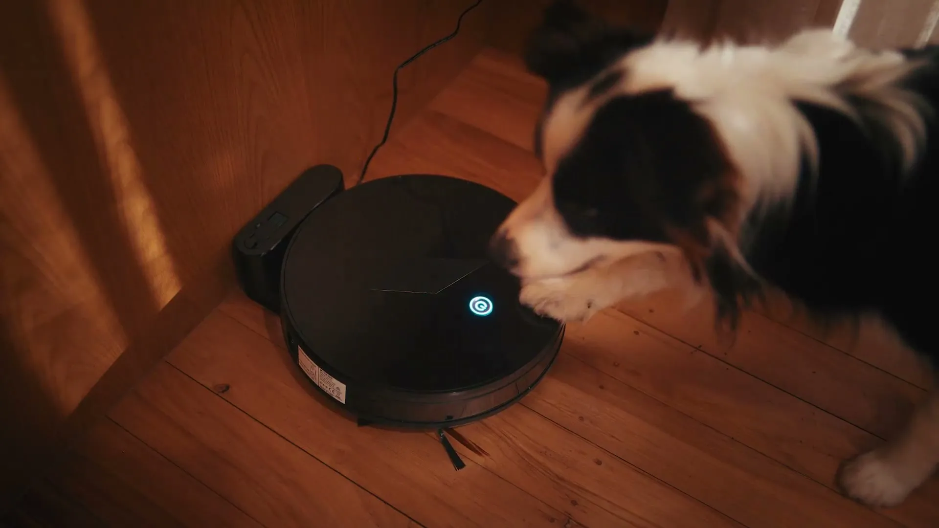 Genesis “Good Boy” (2026), frame 6