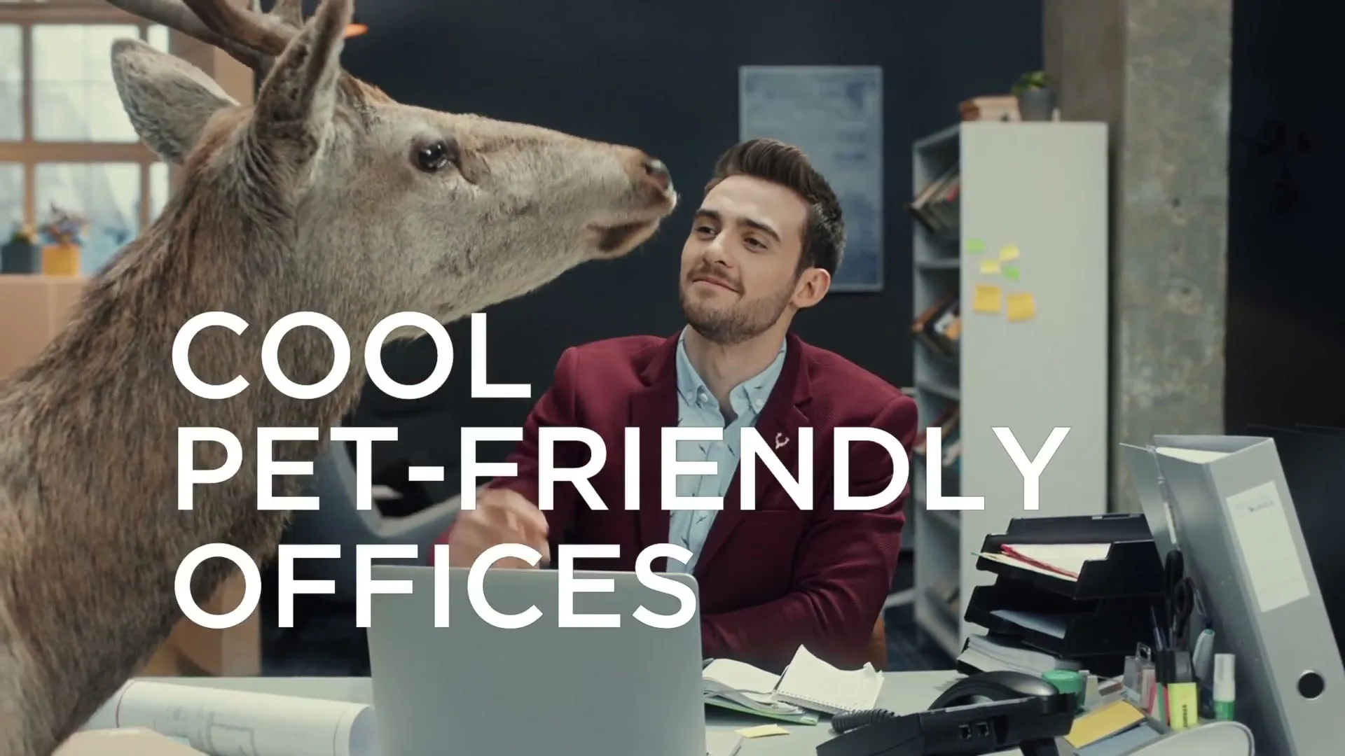 Allen Solly "Stag" (2019) commercial still