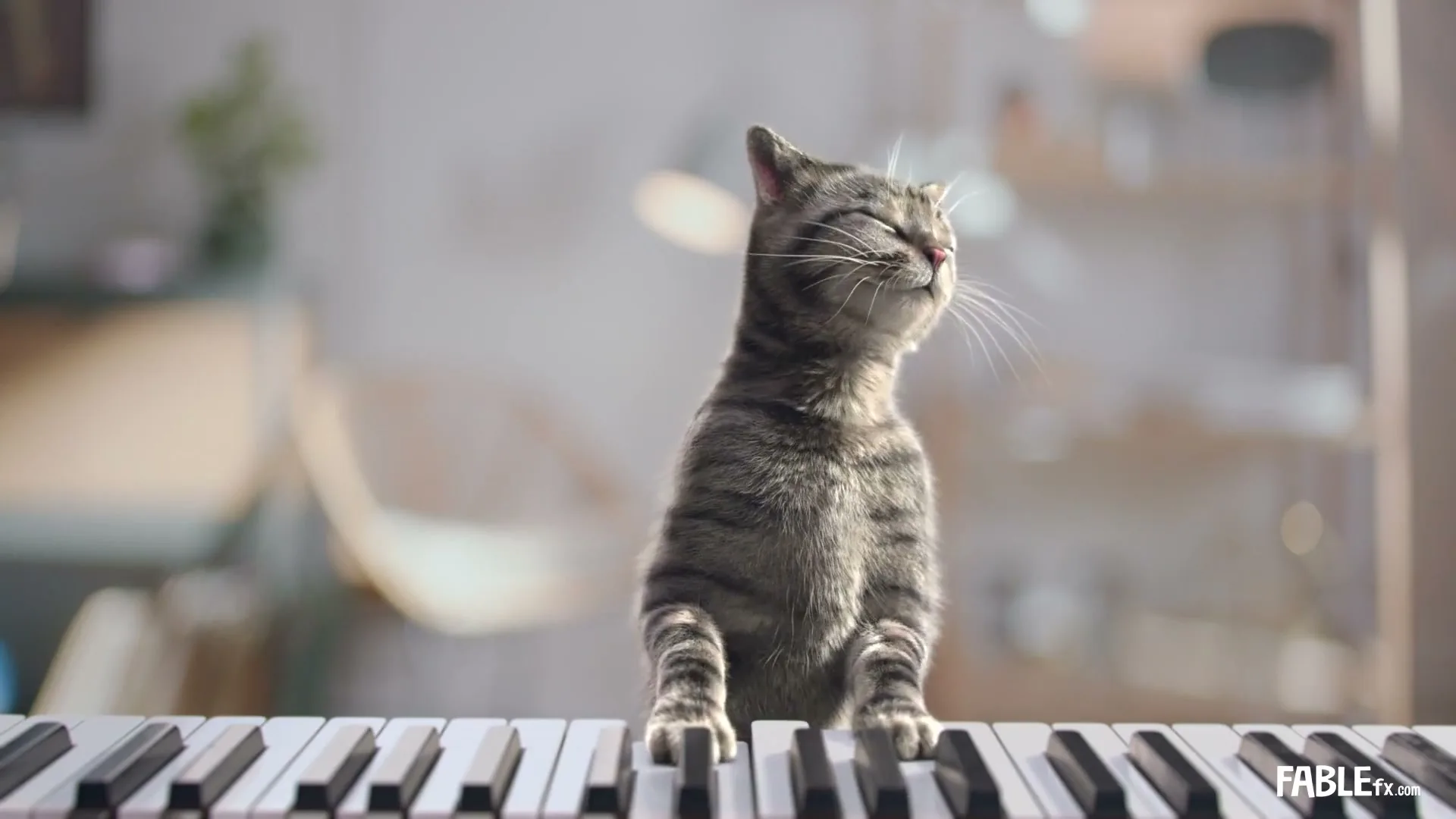 Ferrero "Chocofresh Piano Cat by FABLEfx" (2019) commercial still