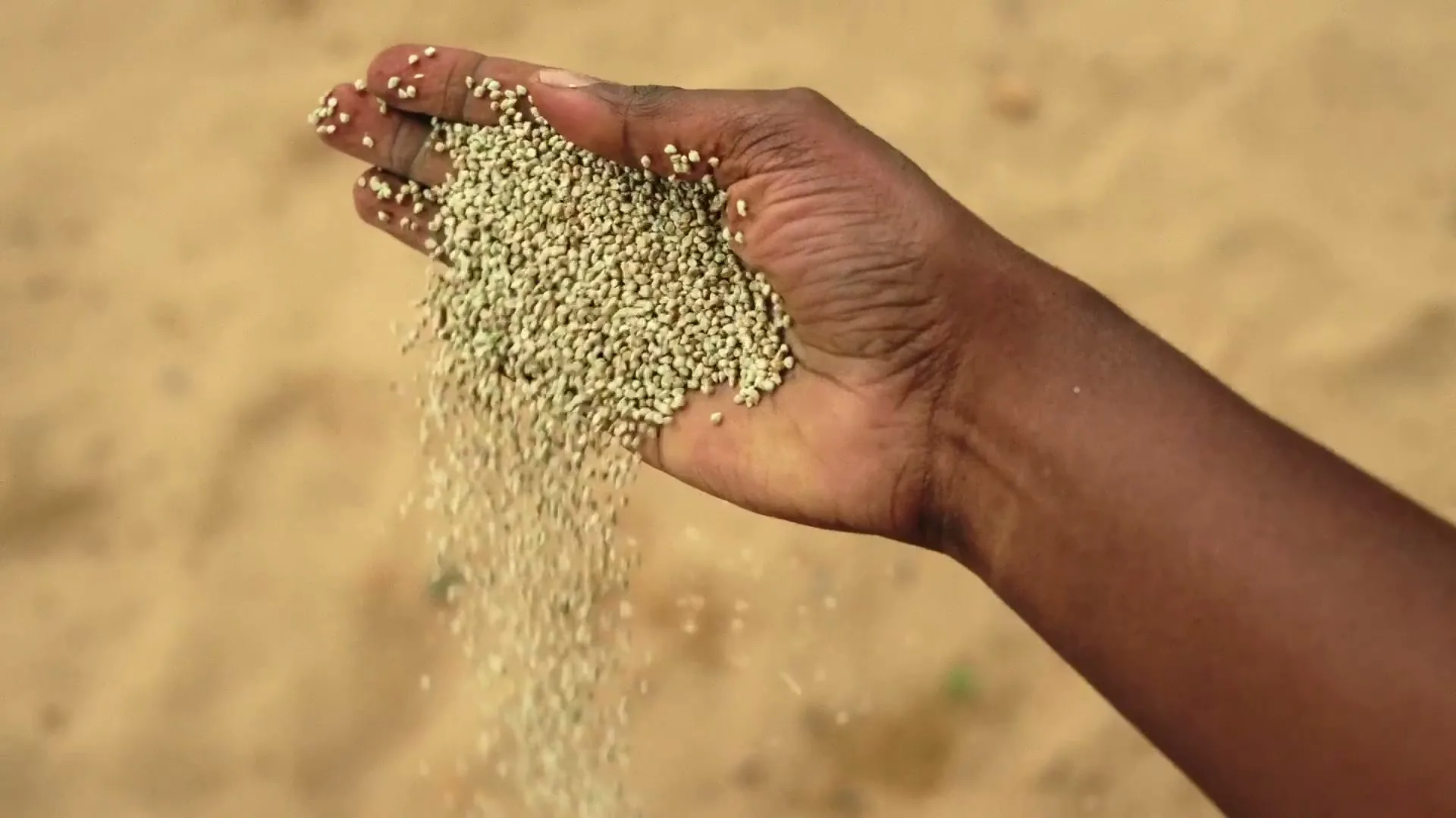 Trocaire “Support The Climate ChangeMakers” (2025), frame 6