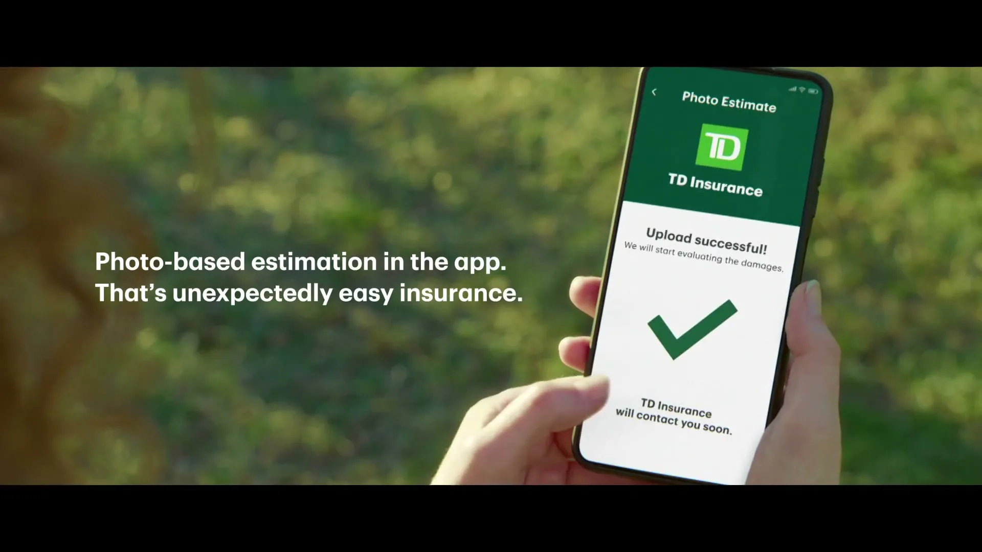 TD “Bird Watching”, directed by Tim Wilkime