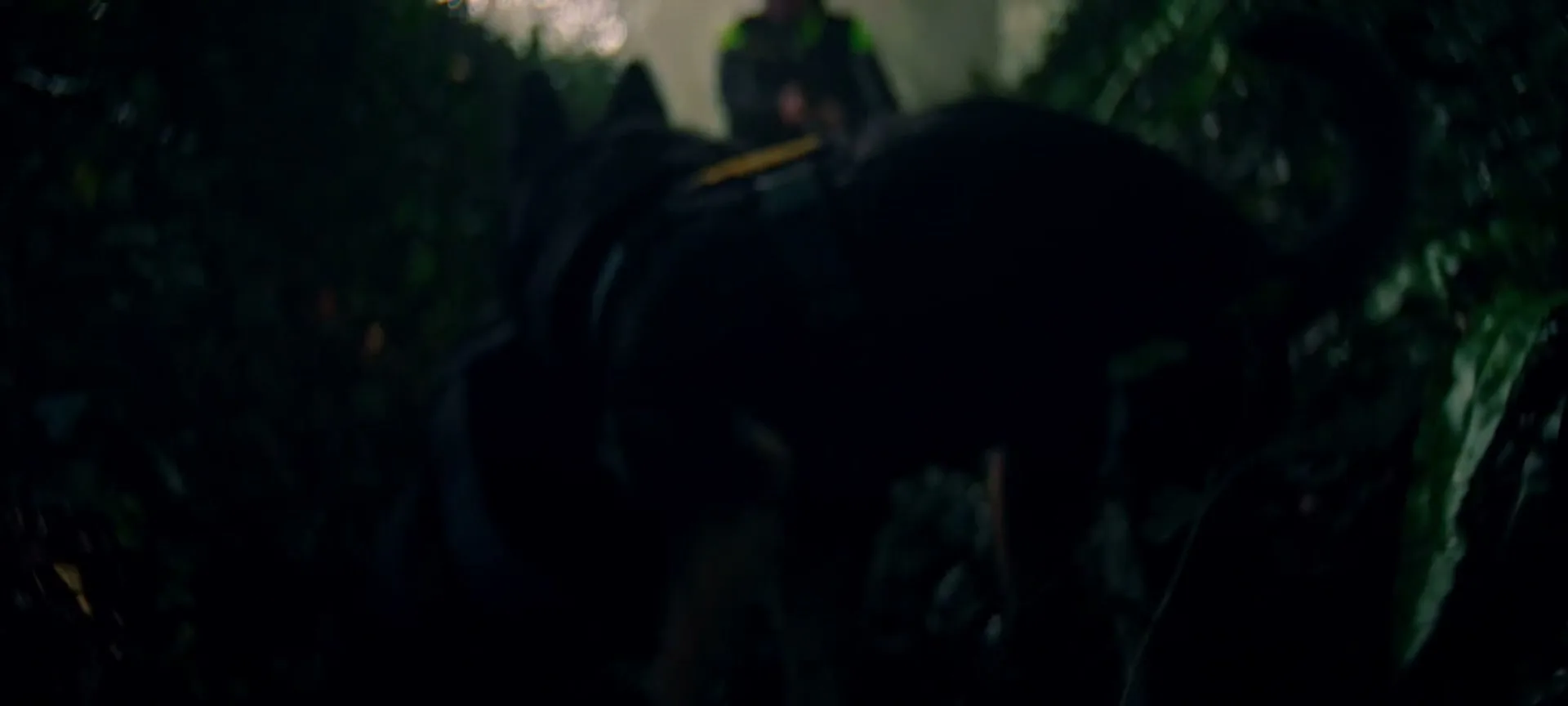 An Garda Síochána “A Job Worth Doing - K9” (2025)