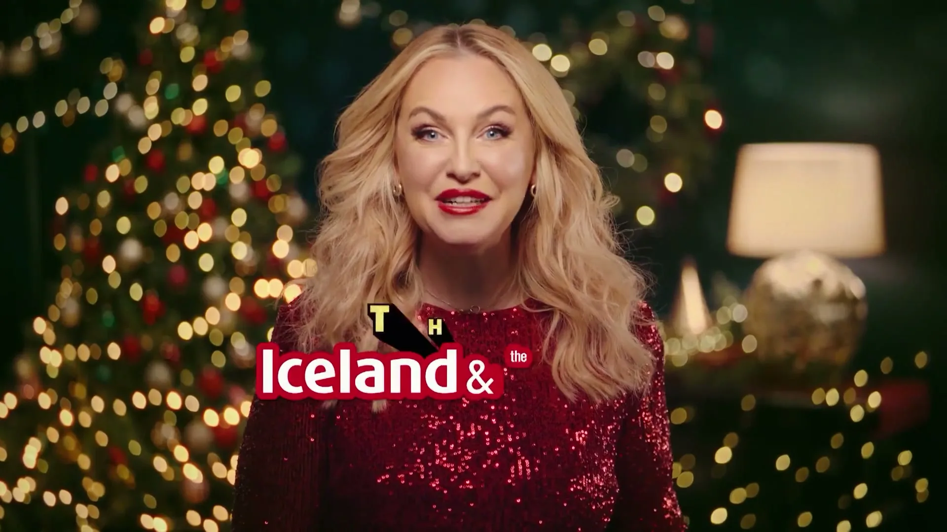 Iceland “That's Why Santa Goes to Iceland Party Season”