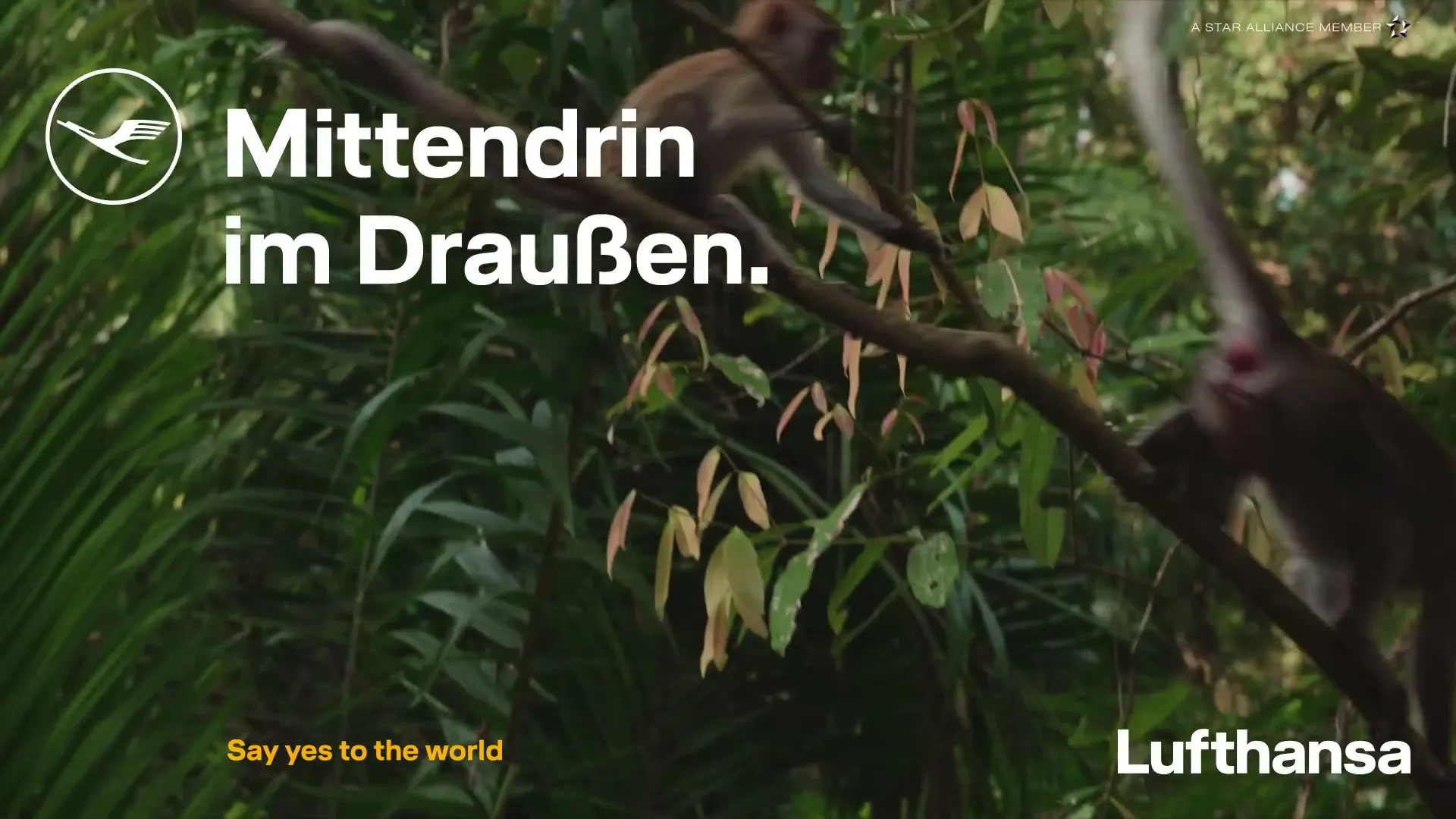 Lufhtansa Airlines “Lufthansa Asia - Outdoors” (2020)