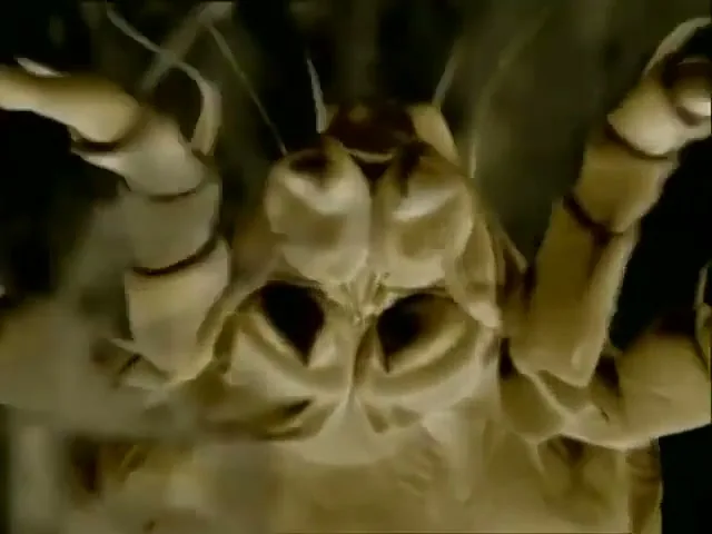 Electrolux “Jungle” 1996