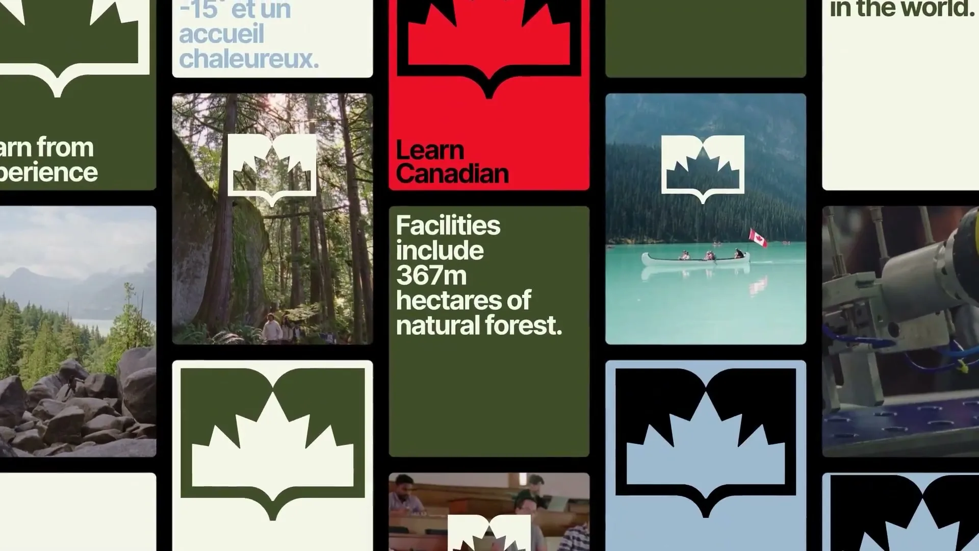 The Canadian Bureau for International Education “Learn Canadian” (2026)