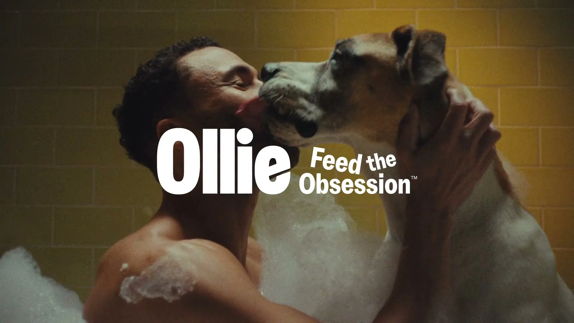 Ollie “Feed the Obsession - Healthy Boys” (2026)