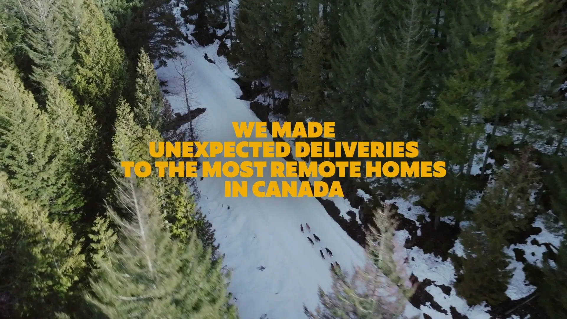 International Delight “Dog Sled” (2026), frame 5