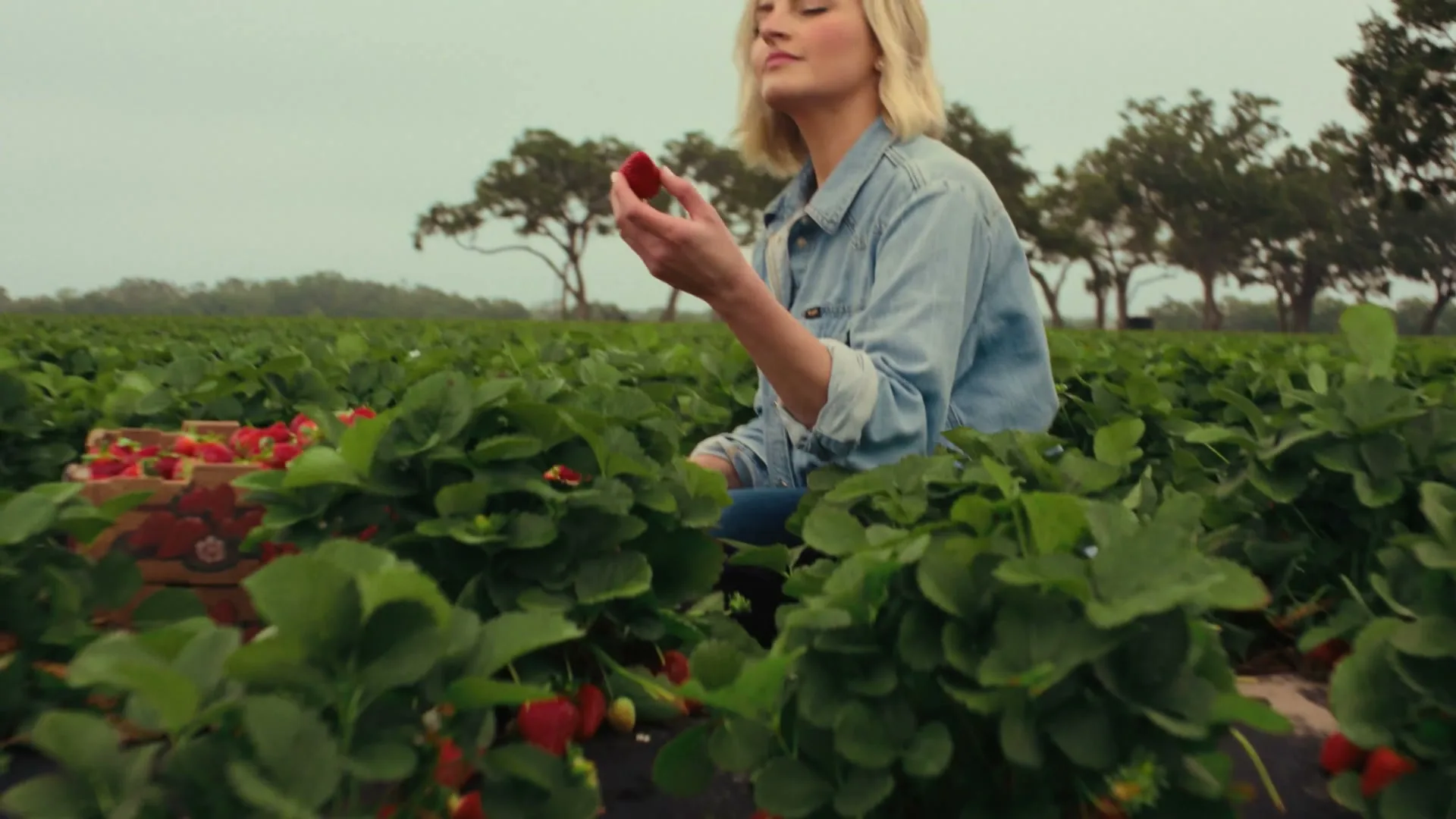 Fresh From Florida “Trust Is Grown Here” (2026), frame 3