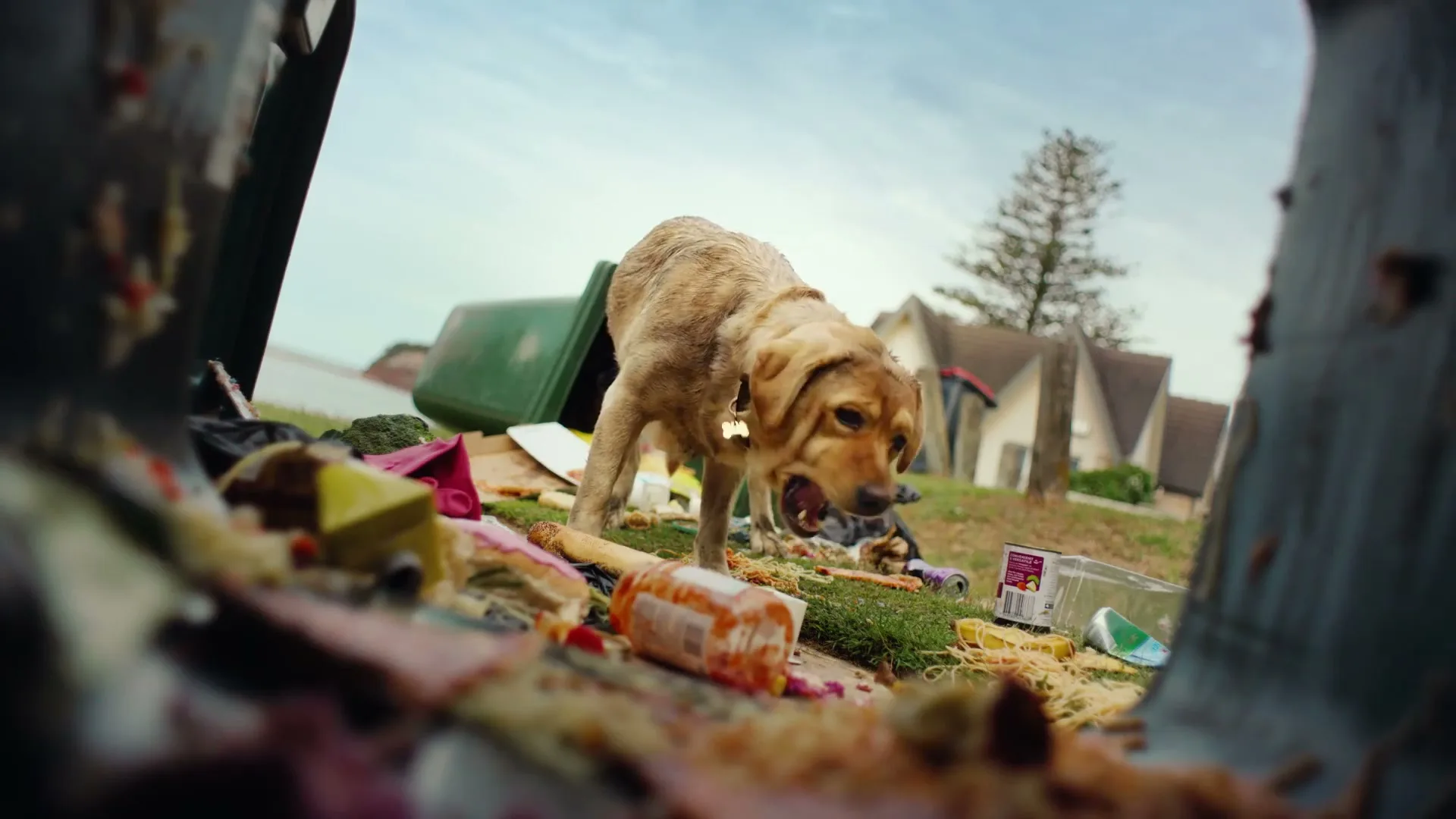 Elanco Animal Health “Elanco - Advocate Ultra Chew” (2026), frame 4