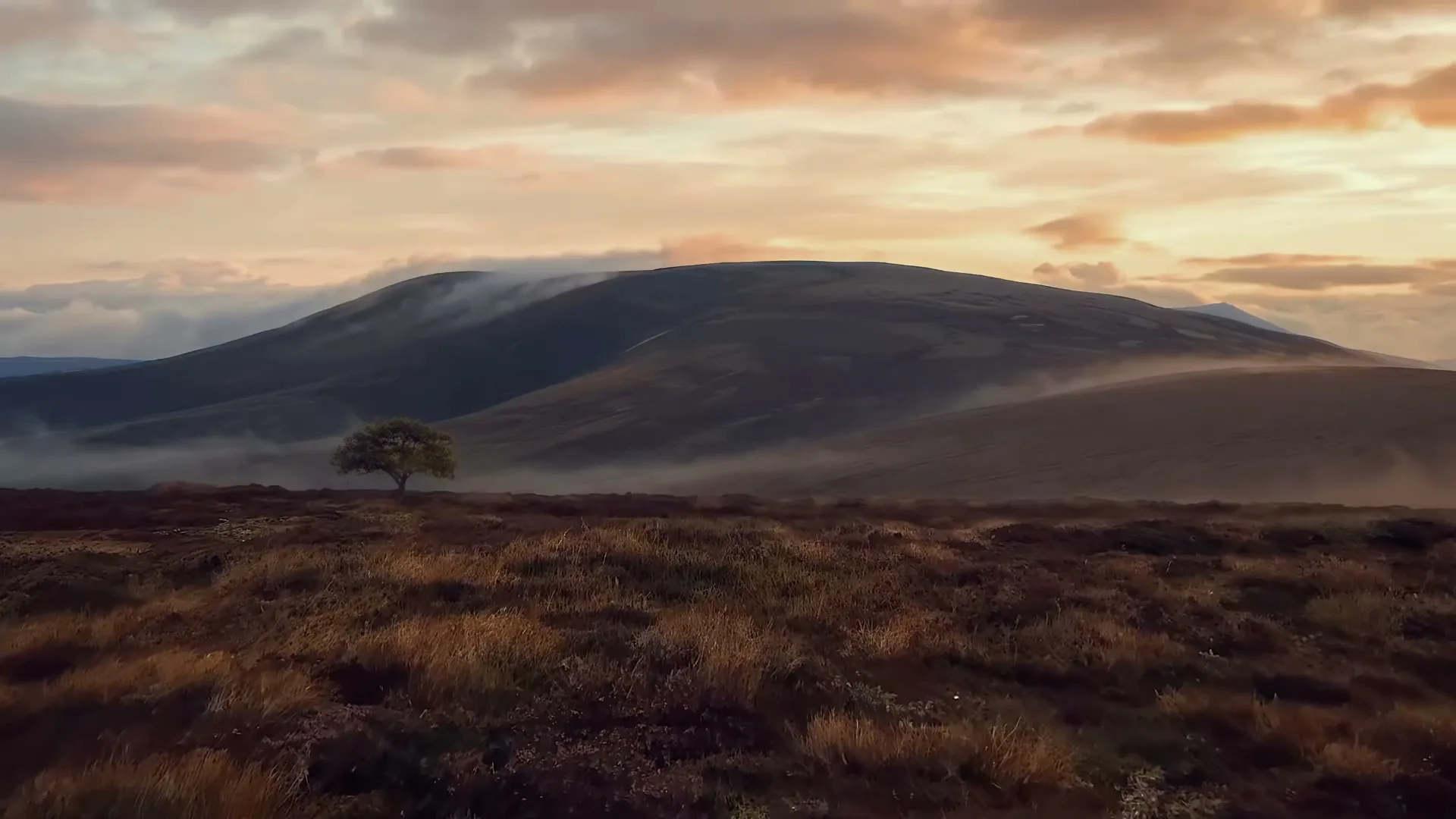 Aberlour “Craft Meets Time” (2026), frame 6