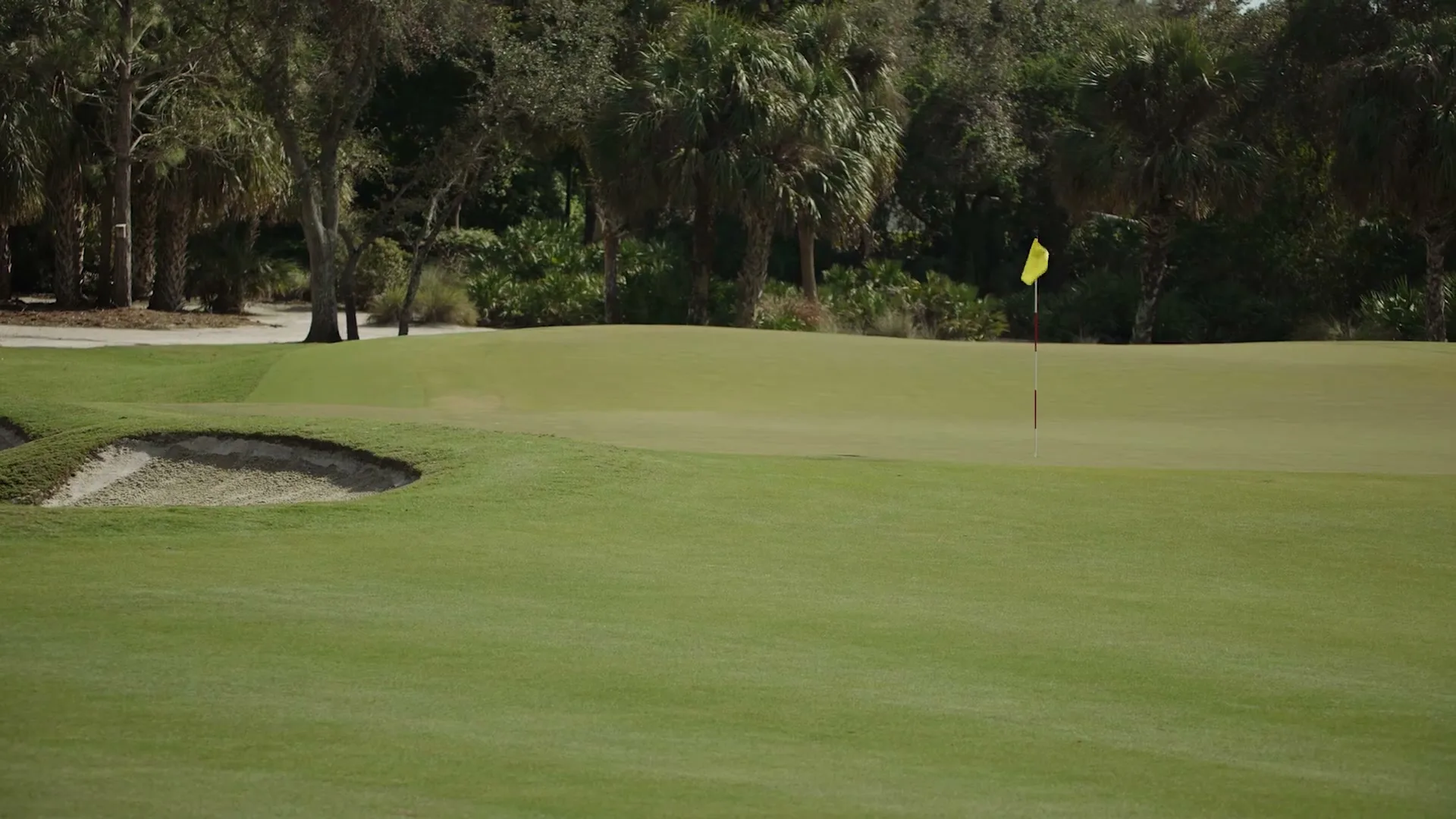 Golf Pride “Respect the Grip” (2023), frame 5