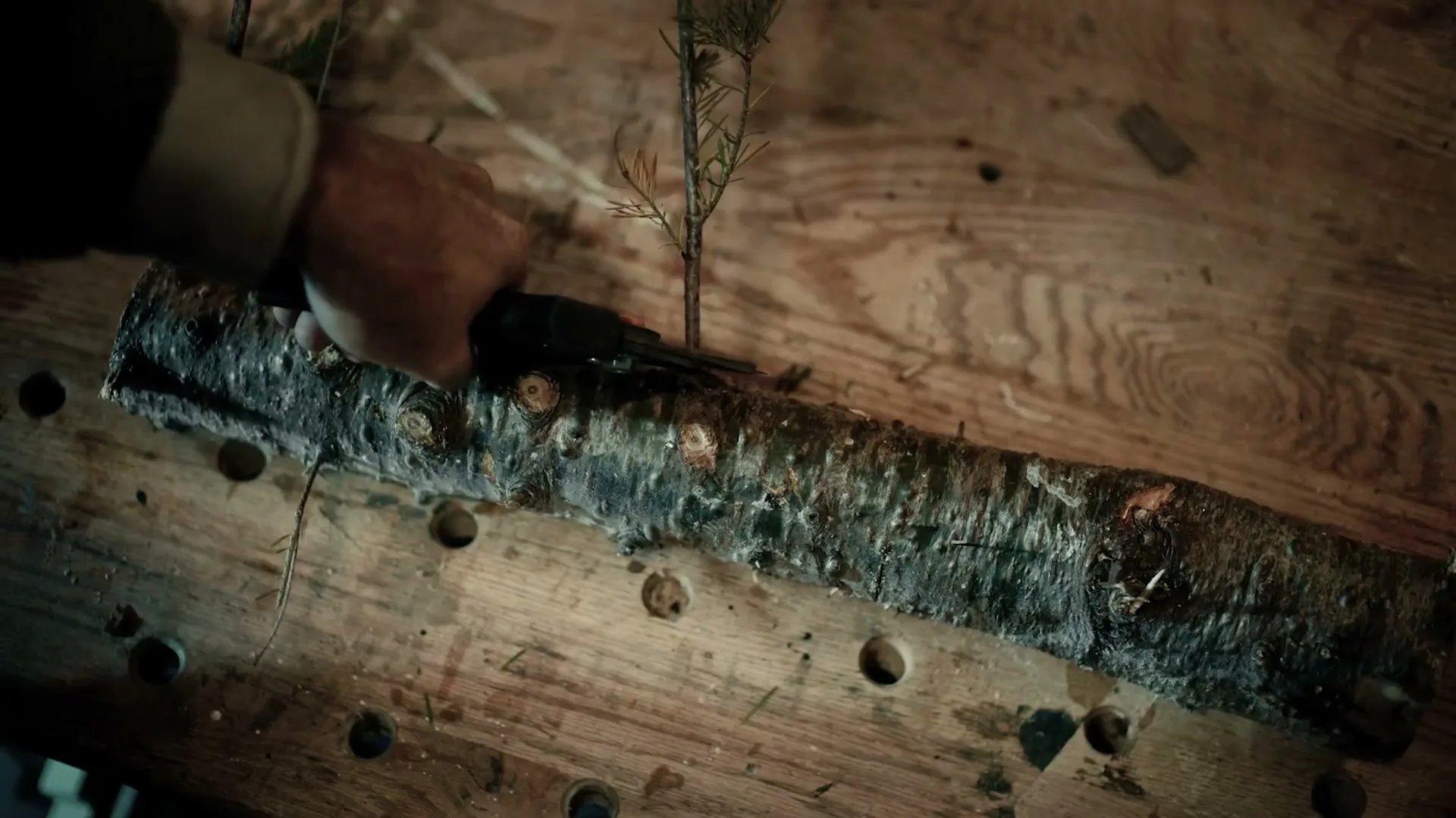 Lee Valley Tools "Give Your Tree a Second Life" (2023) commercial still