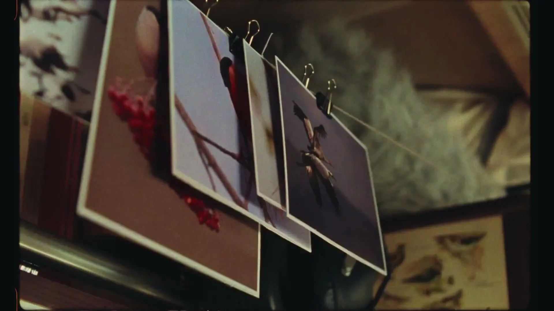 OLX “Ptaki” (2025), frame 3