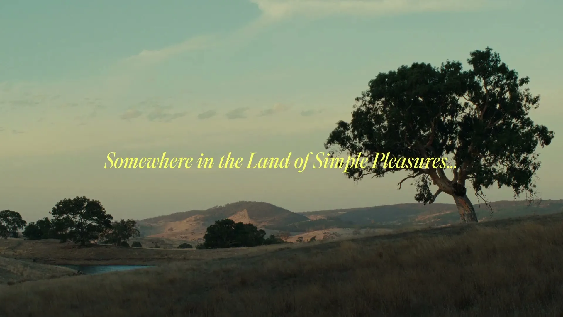 South Australian Tourism Commission “Simple Pleasures - Harvest Eyes” (2025), frame 2