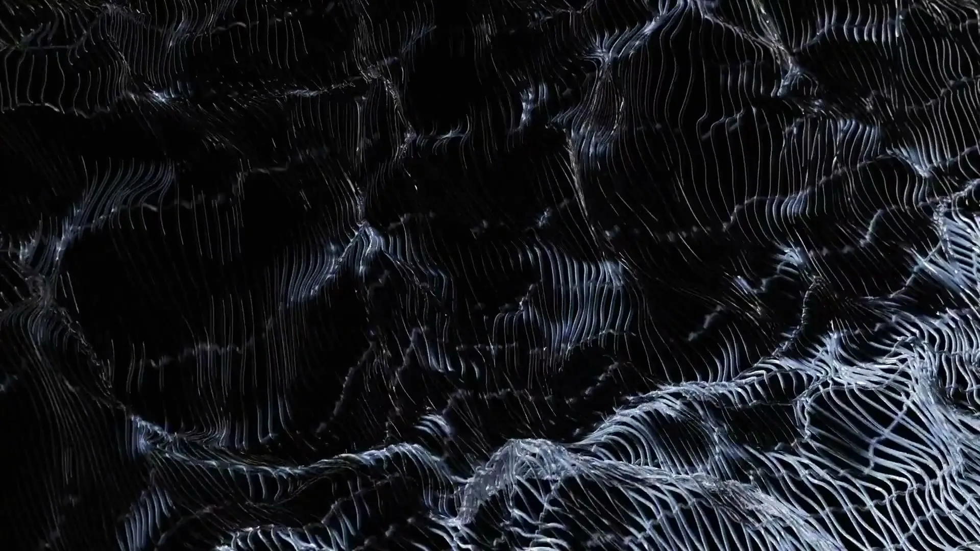 Nike “Martin Sweers - NIKE” (2025), frame 6