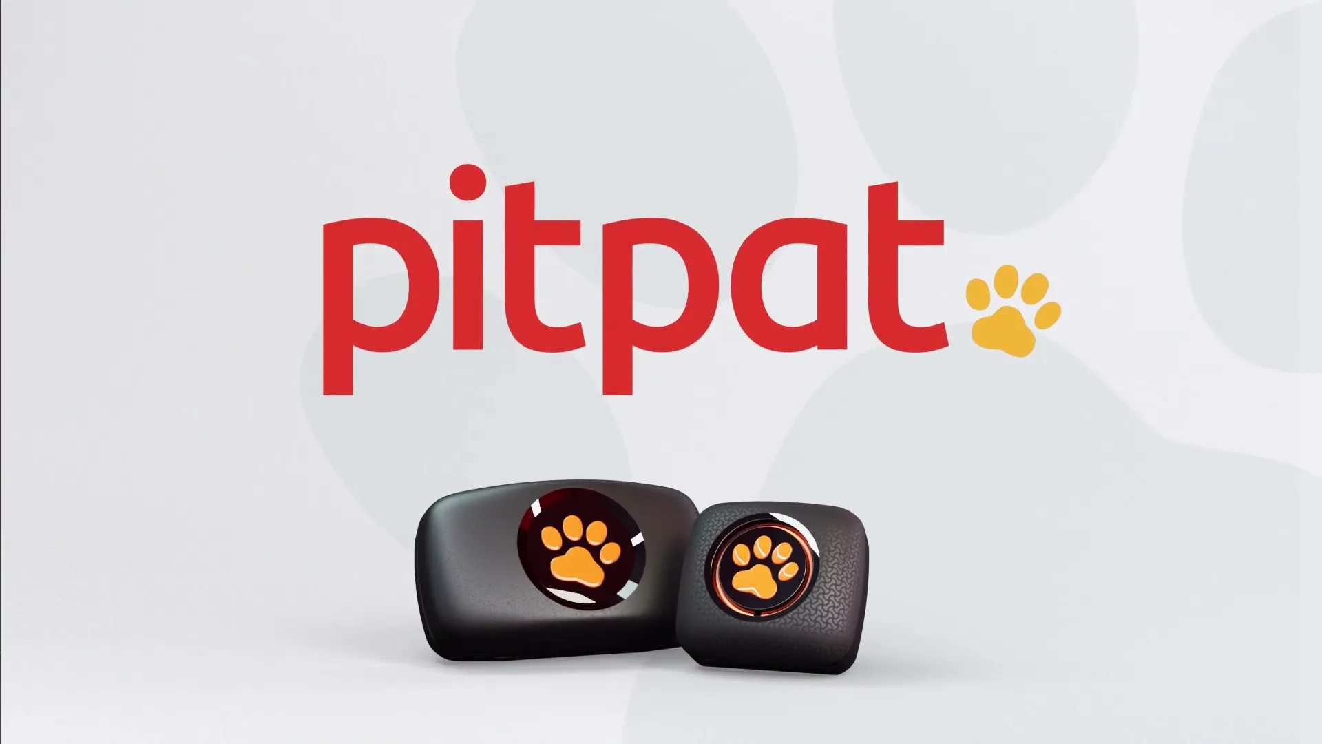 PitPat “We Got You” (2024), frame 5