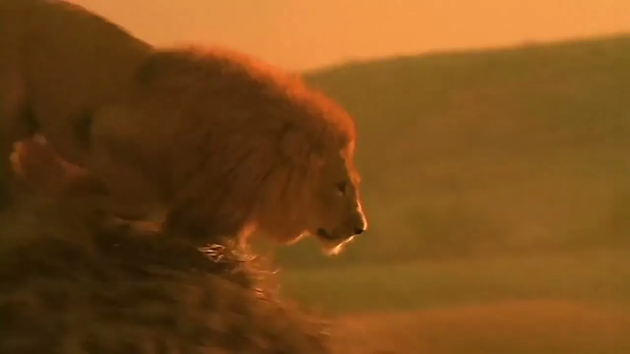 Perrier "Lion" (1991) commercial still